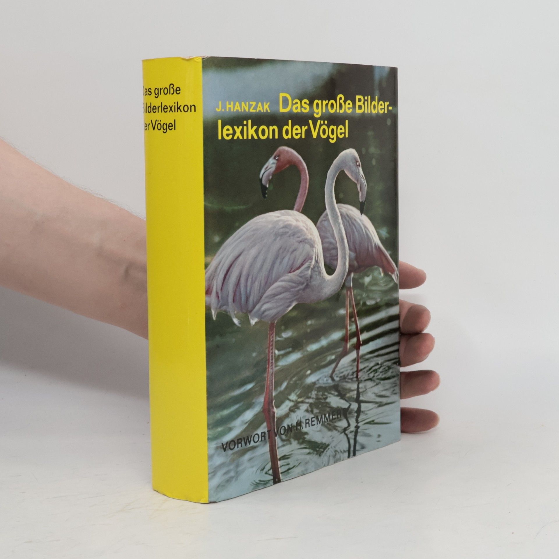 J. Hanzák Das große Bilderlexikon der Vögel