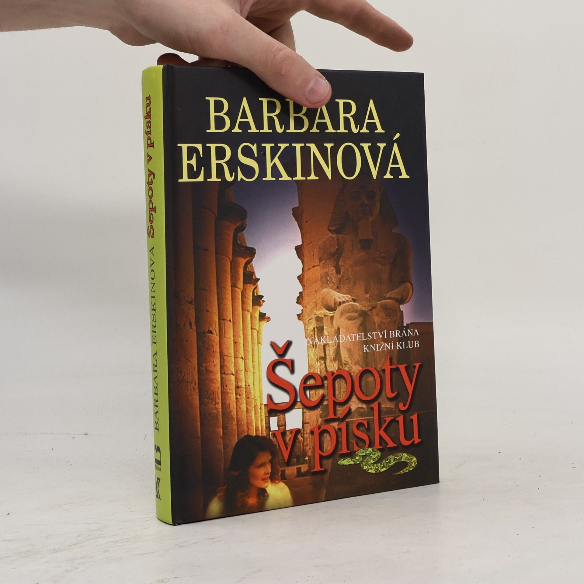 Barbara Erskine Šepoty v písku