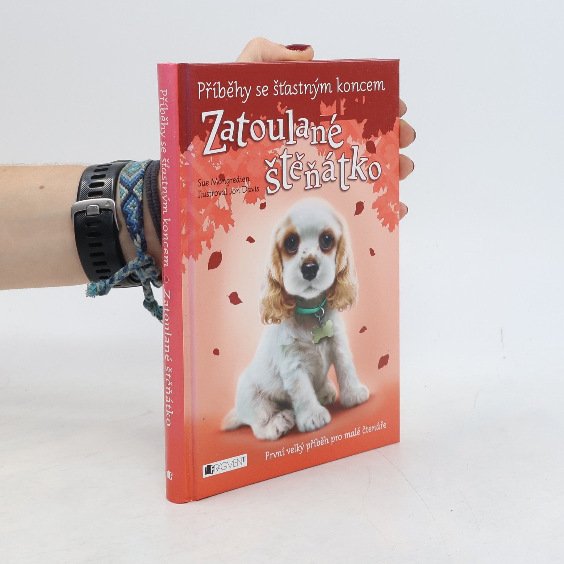 Jon Davis Zatoulané štěňátko