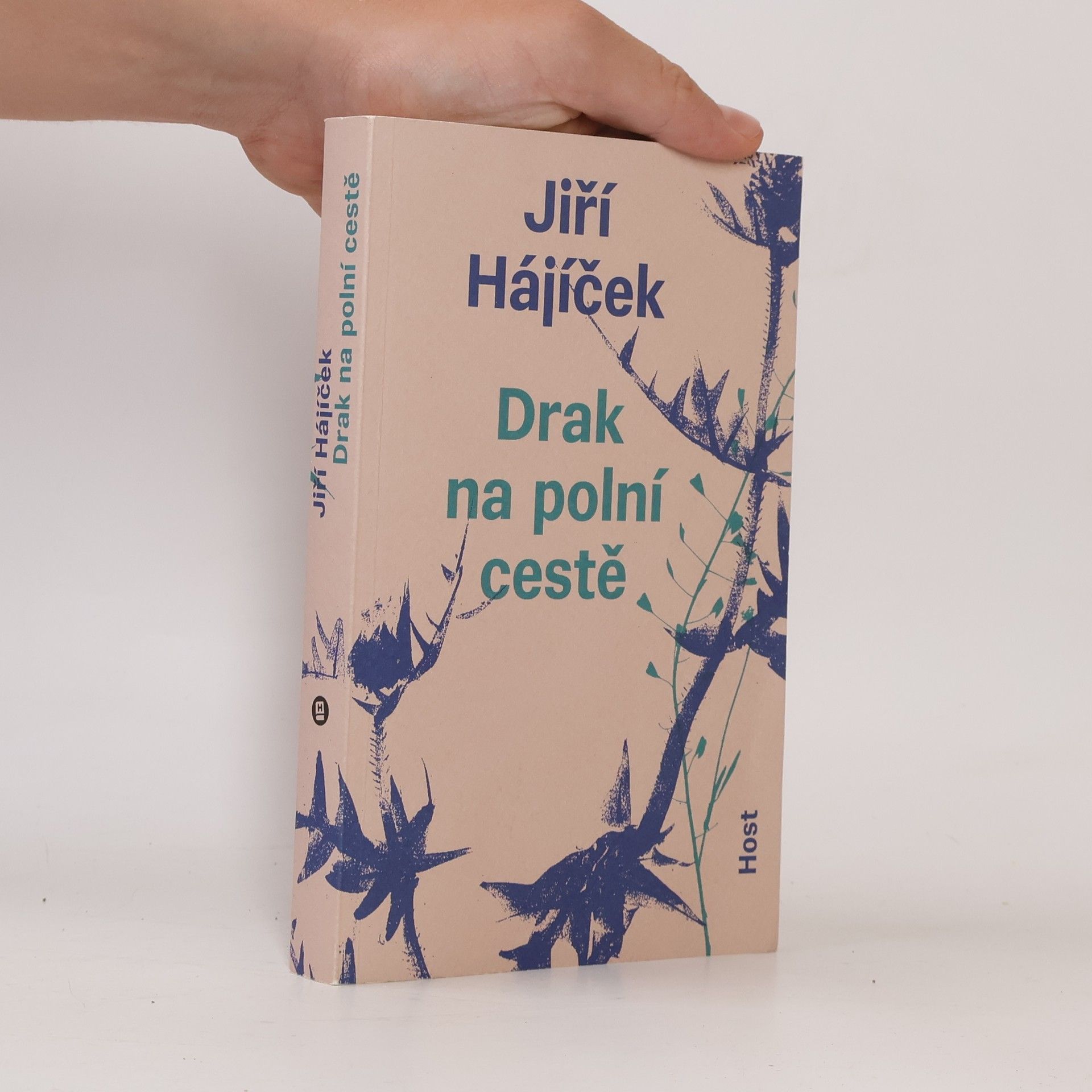 Jiří Hájíček Drak na polní cestě