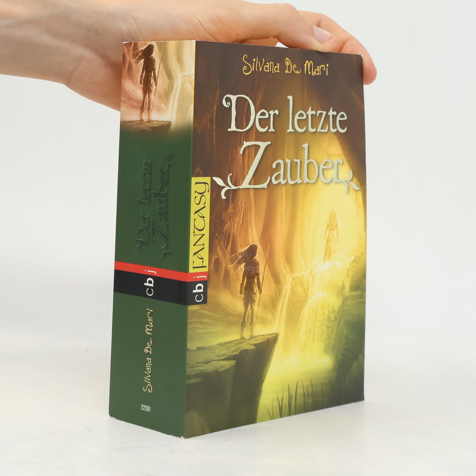 Silvana De Mari Der letzte Zauber