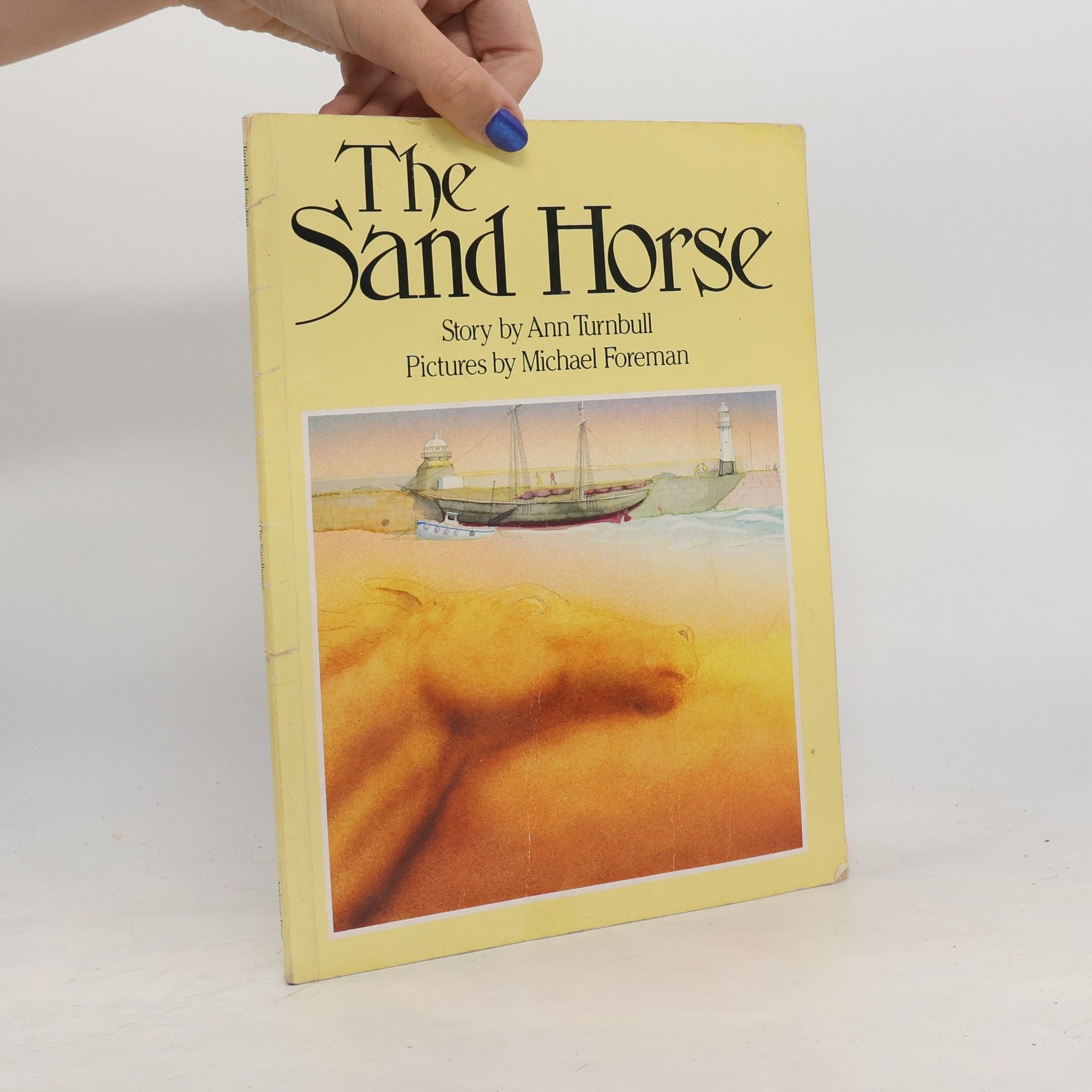 Ann Turnbull The Sand Horse