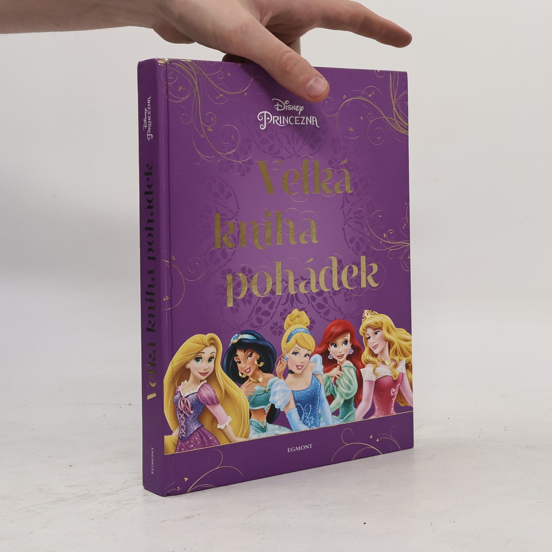 Autorenkollektiv Velká kniha pohádek - princezna