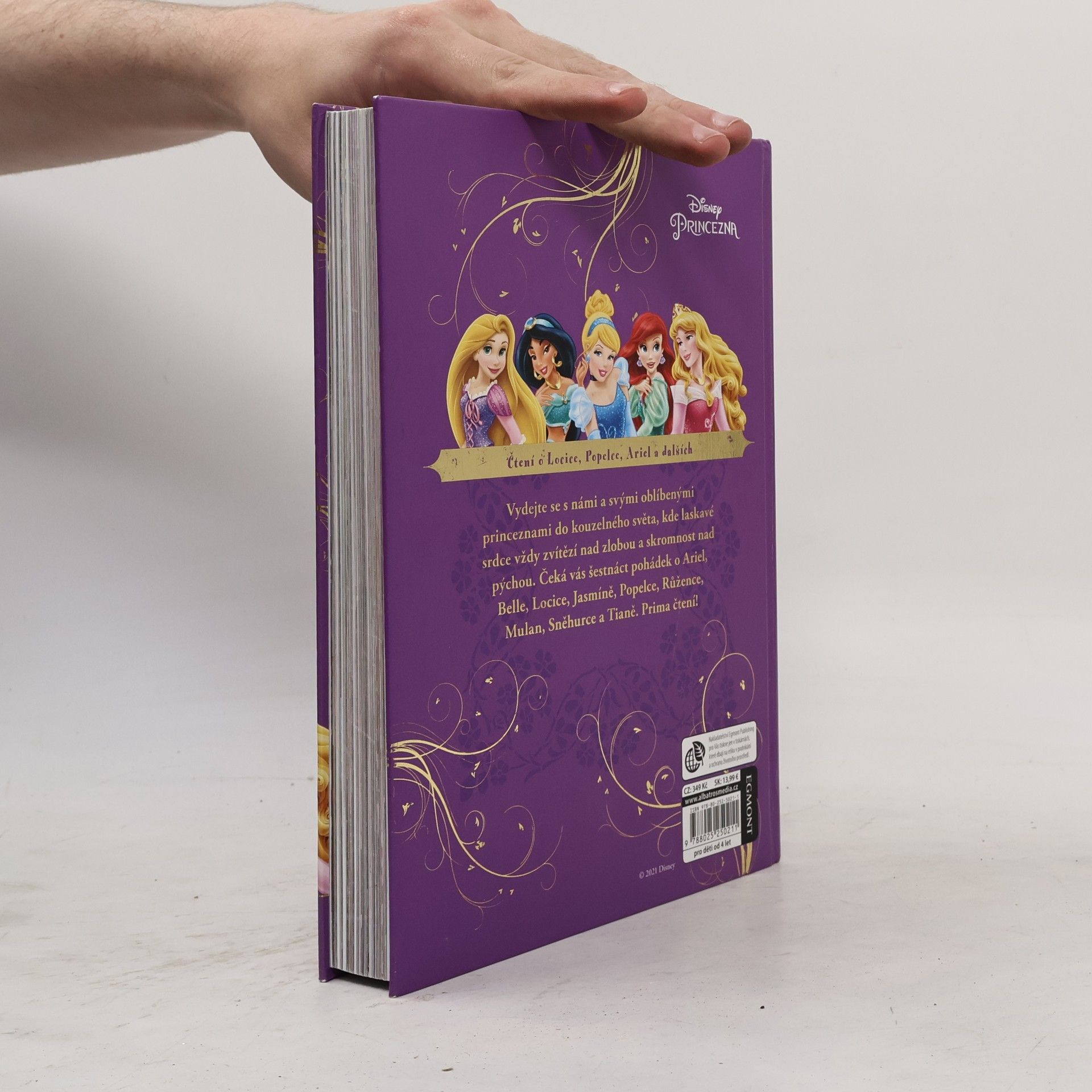 Autorenkollektiv Velká kniha pohádek - princezna