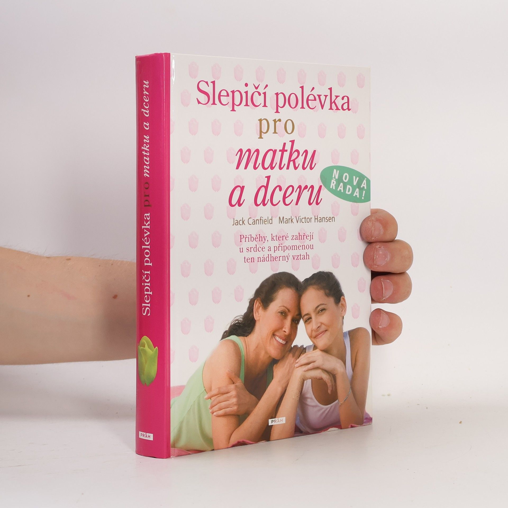 Mark Victor Hansen Slepičí polévka pro matku a dceru