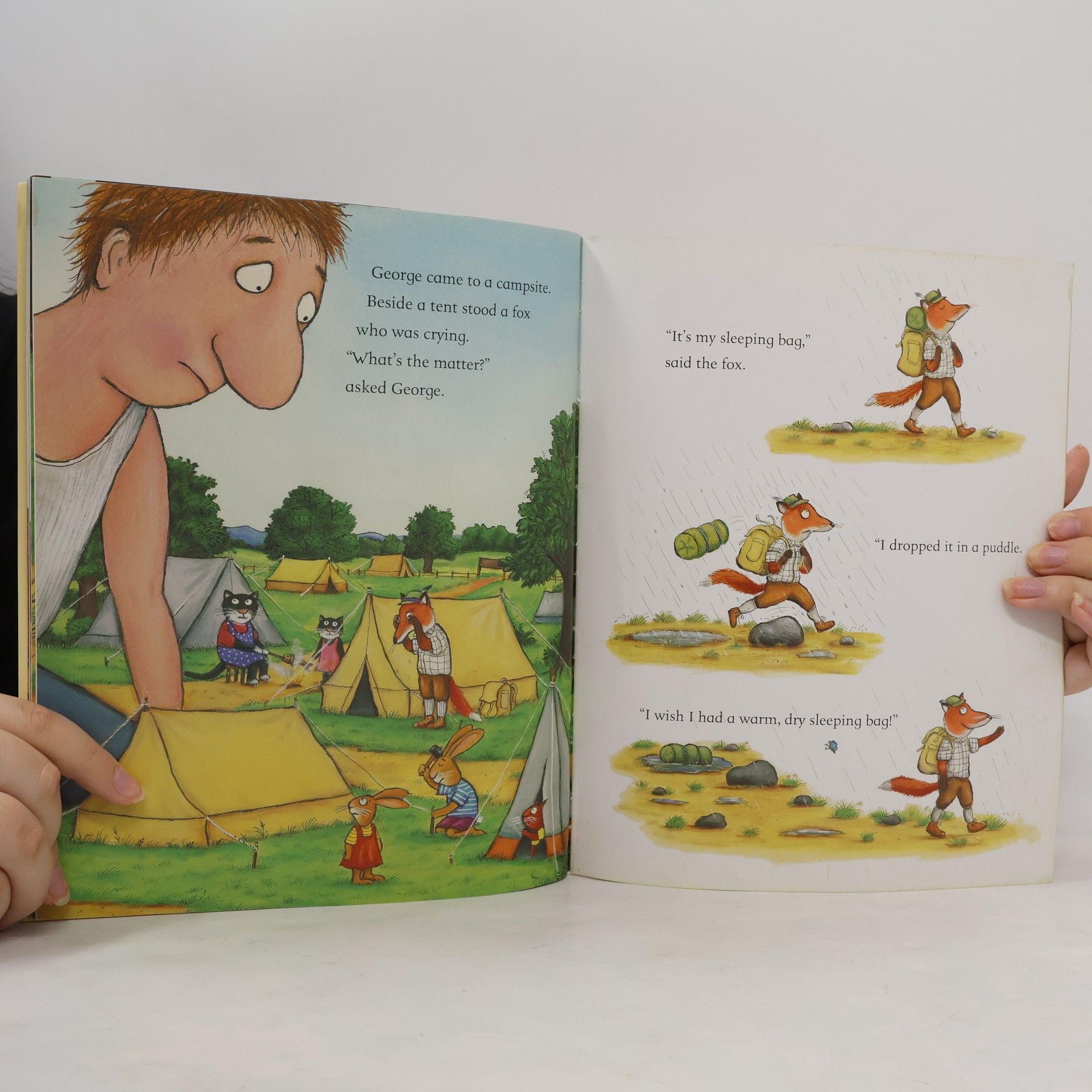 Axel Scheffler The Smartest Giant in Town