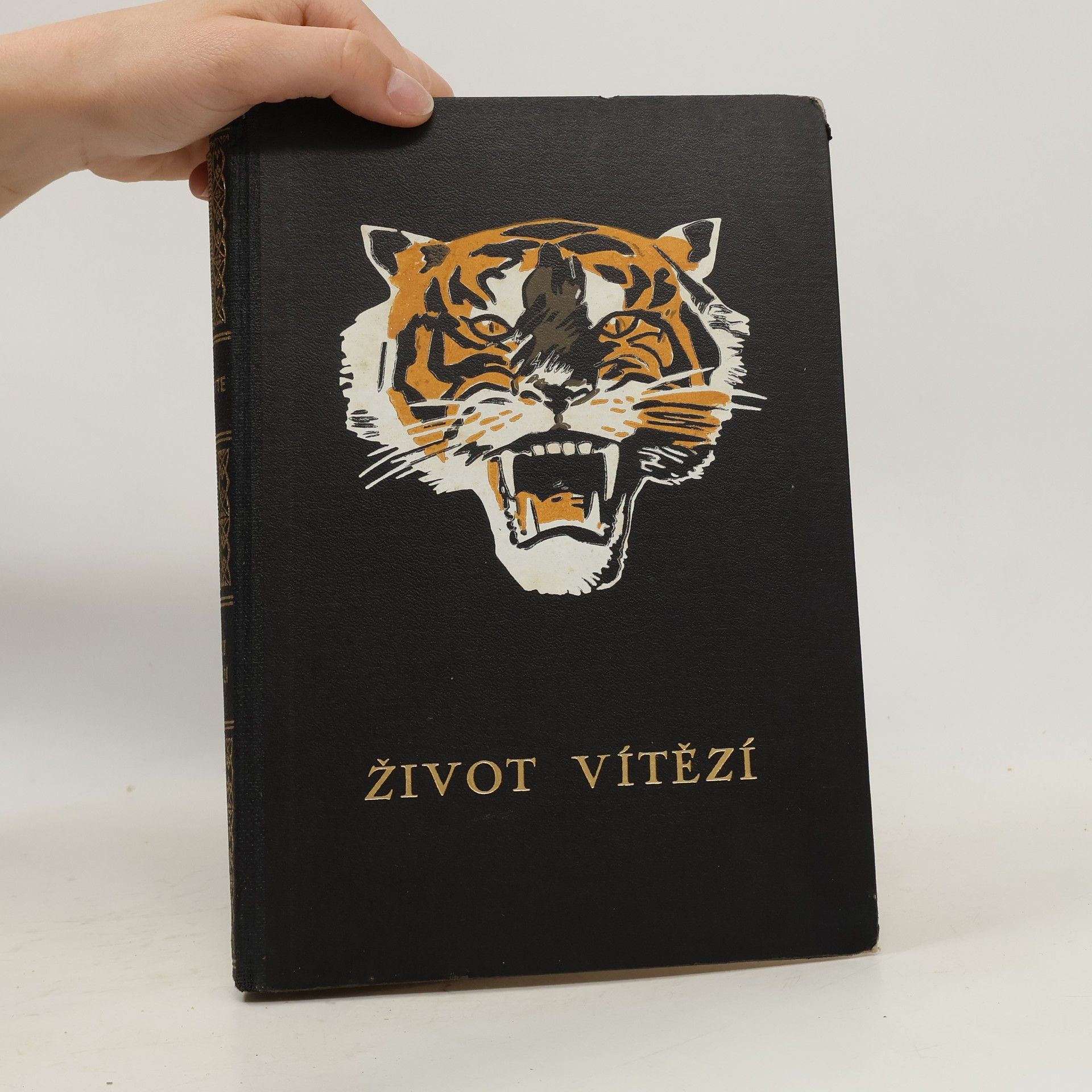 Viktor Witte Život vítězí. Zpovědi hrdinů slavných dobrodružství