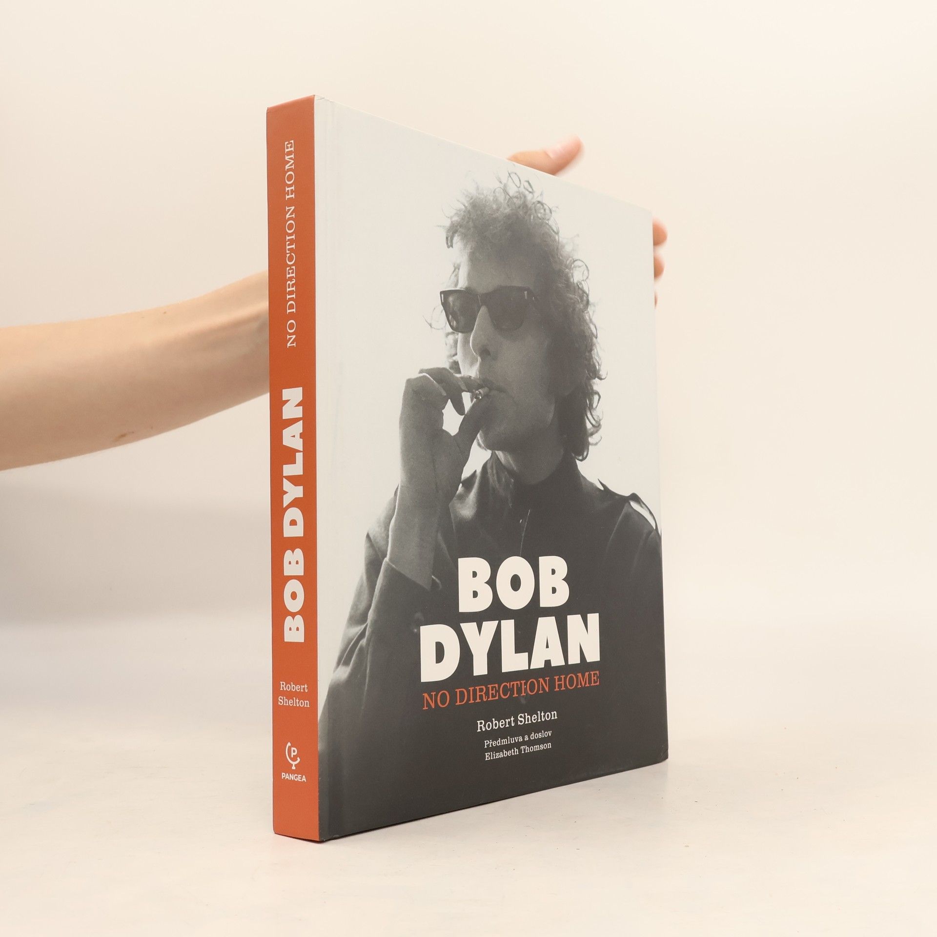 Robert Shelton Bob Dylan: No Direction Home