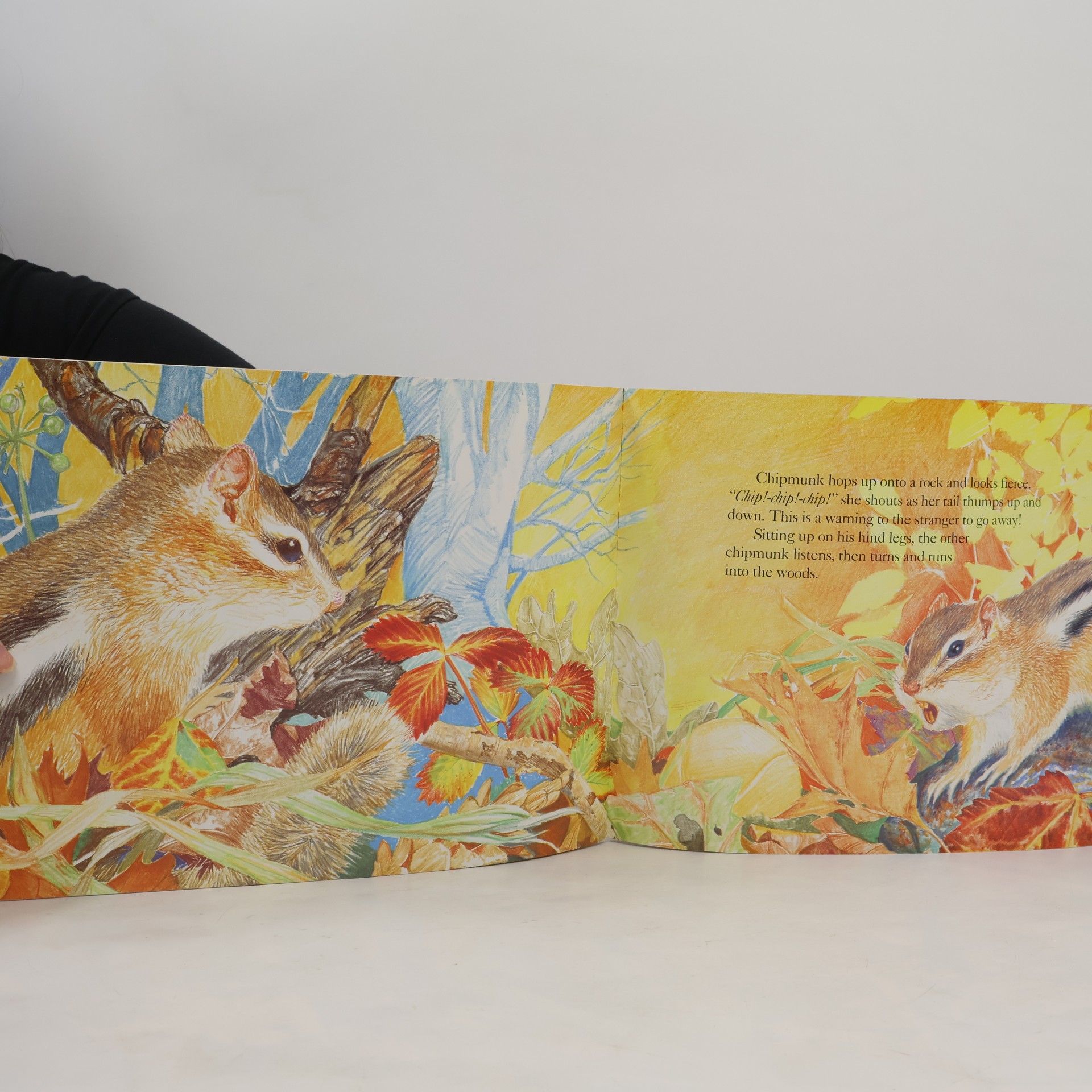 Victoria Sherrow Chipmunk at Hollow Tree Lane