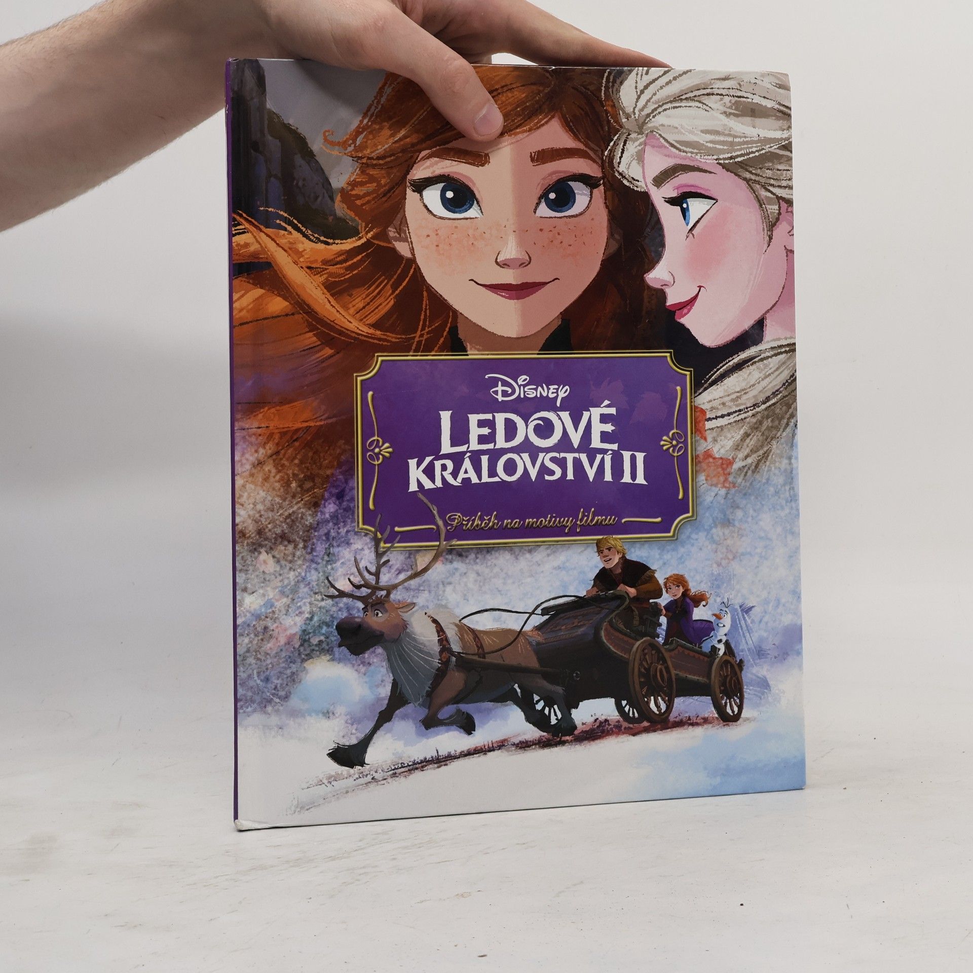 Petra Vichrová Ledové království II