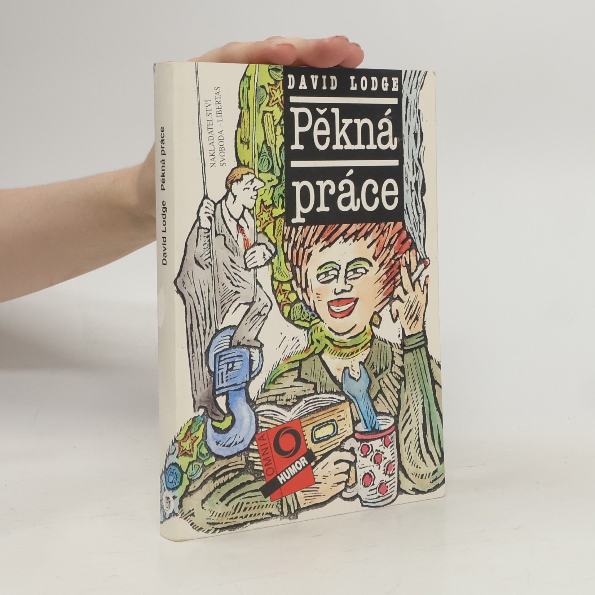 David Lodge Pěkná práce