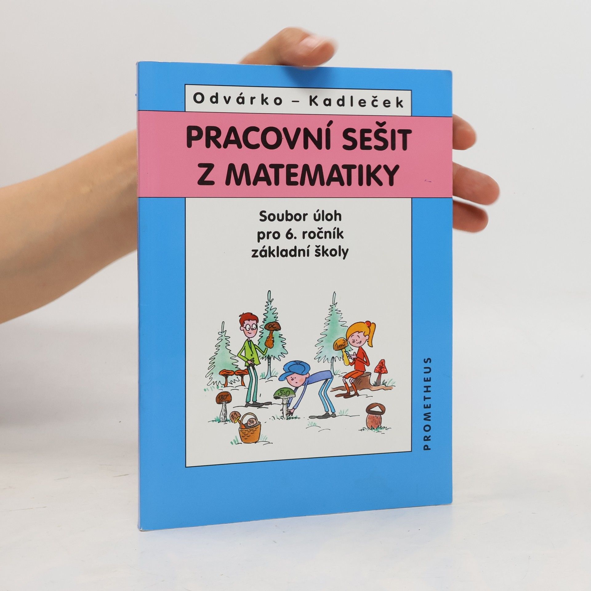 Pracovní sešit z matematiky. Soubor úloh pro 6. ročník základní školy