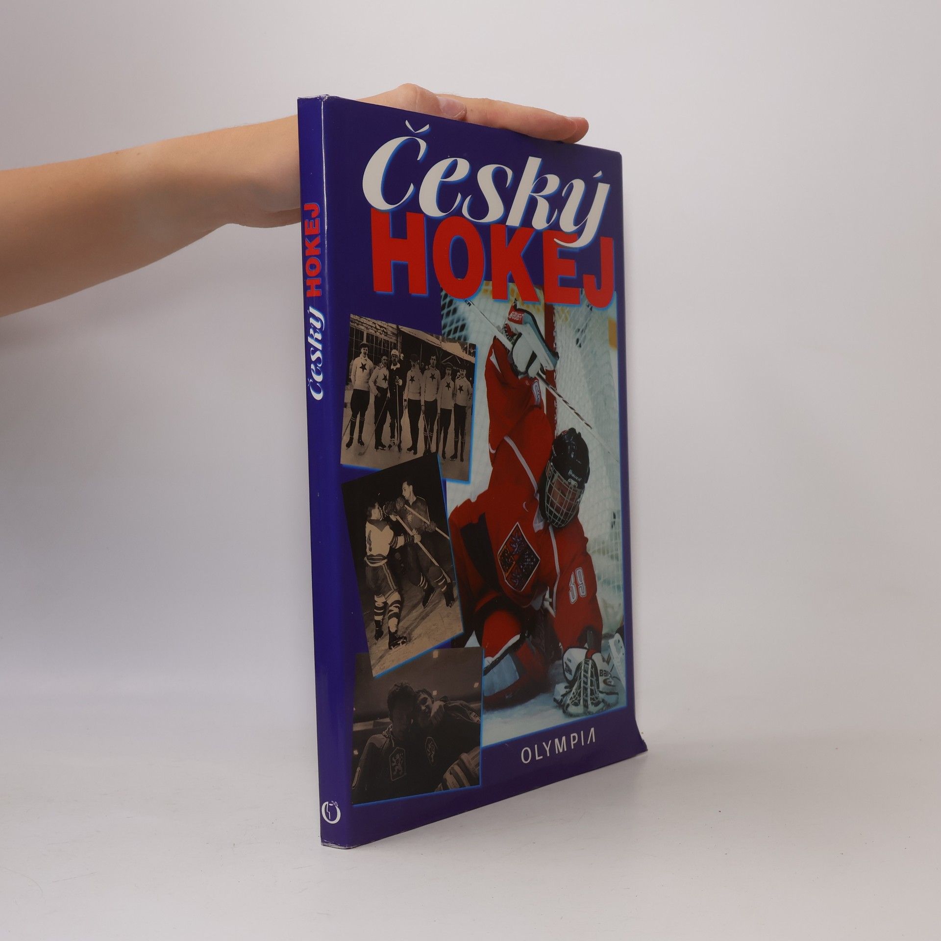 Český hokej