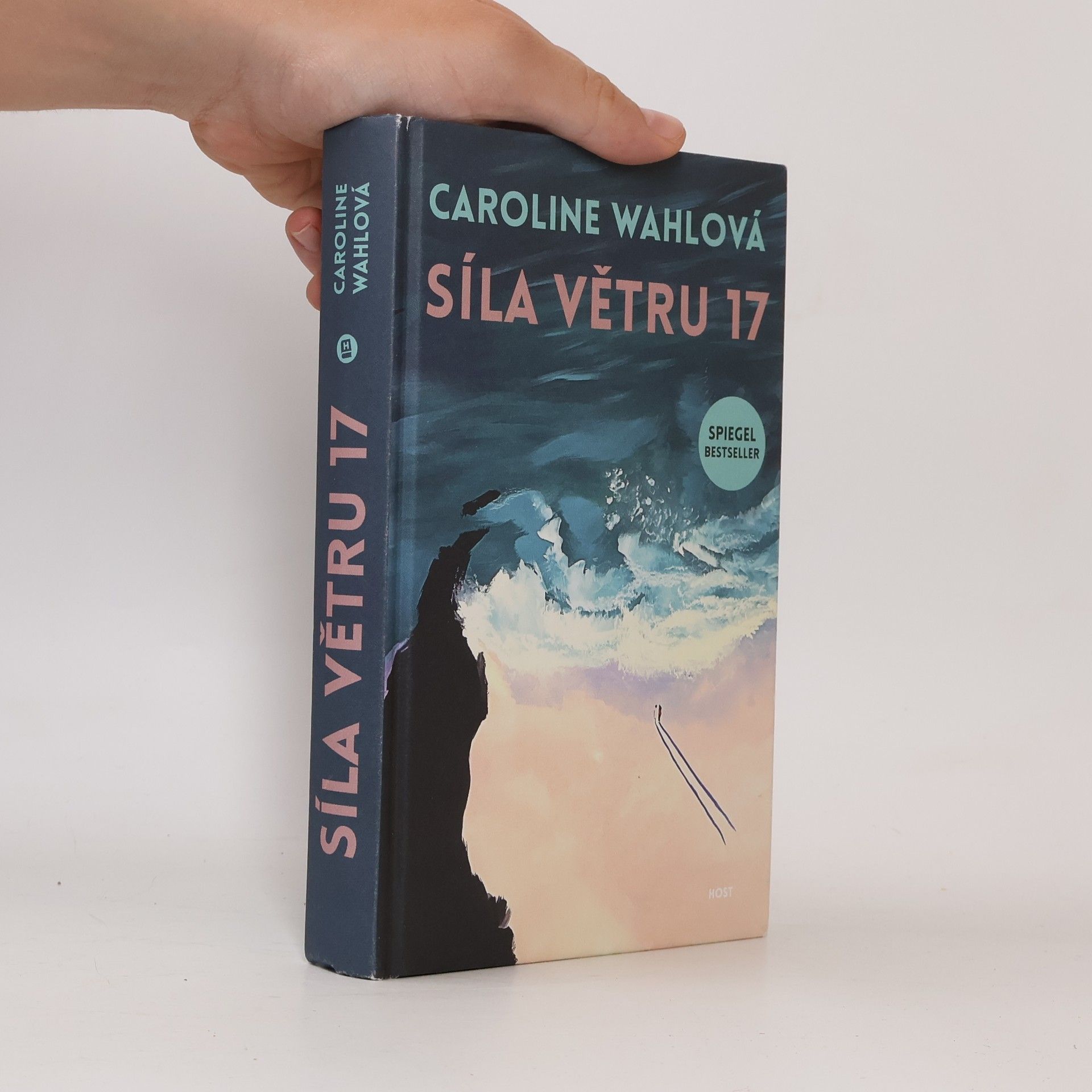 Caroline Wahl Síla větru 17