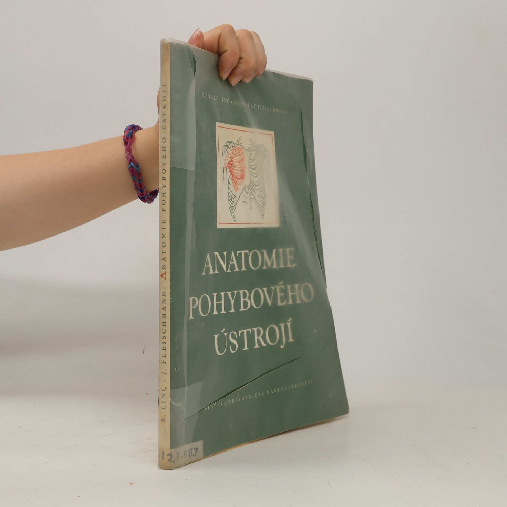 Rudolf Linc Anatomie pohybového ústrojí