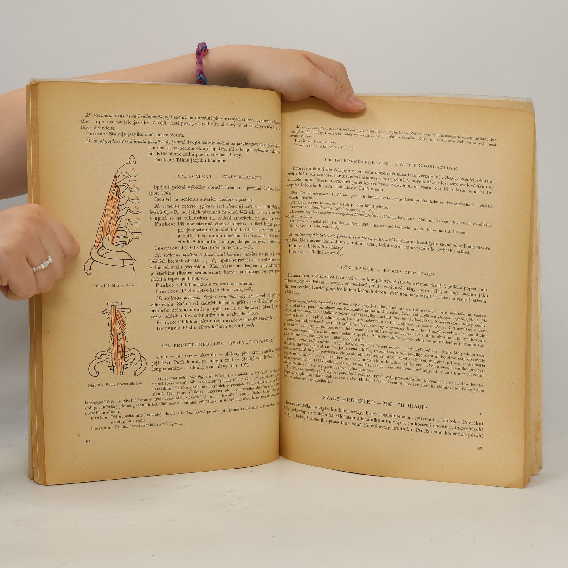 Jaroslav Fleischmann Anatomie pohybového ústrojí