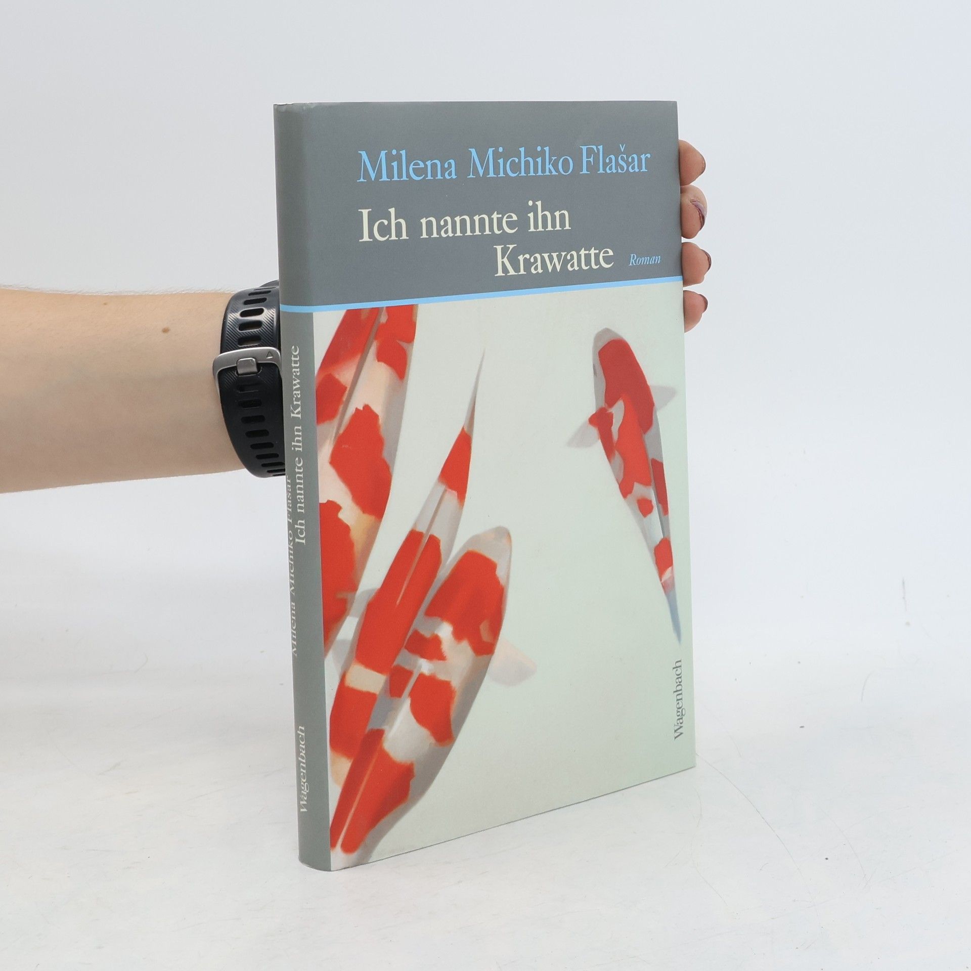 Milena Michiko Flašar Ich nannte ihn Krawatte