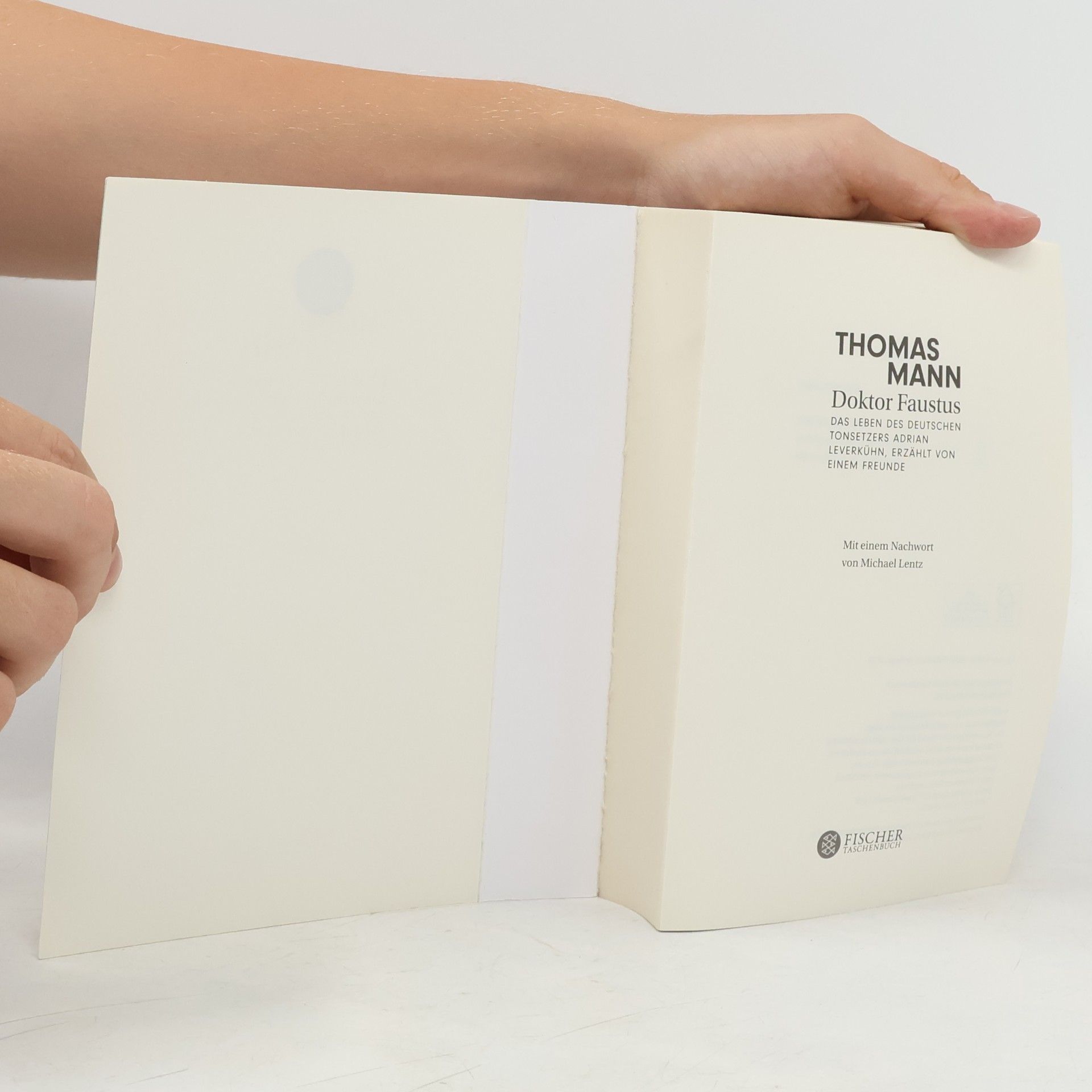 Thomas Mann Doktor Faustus