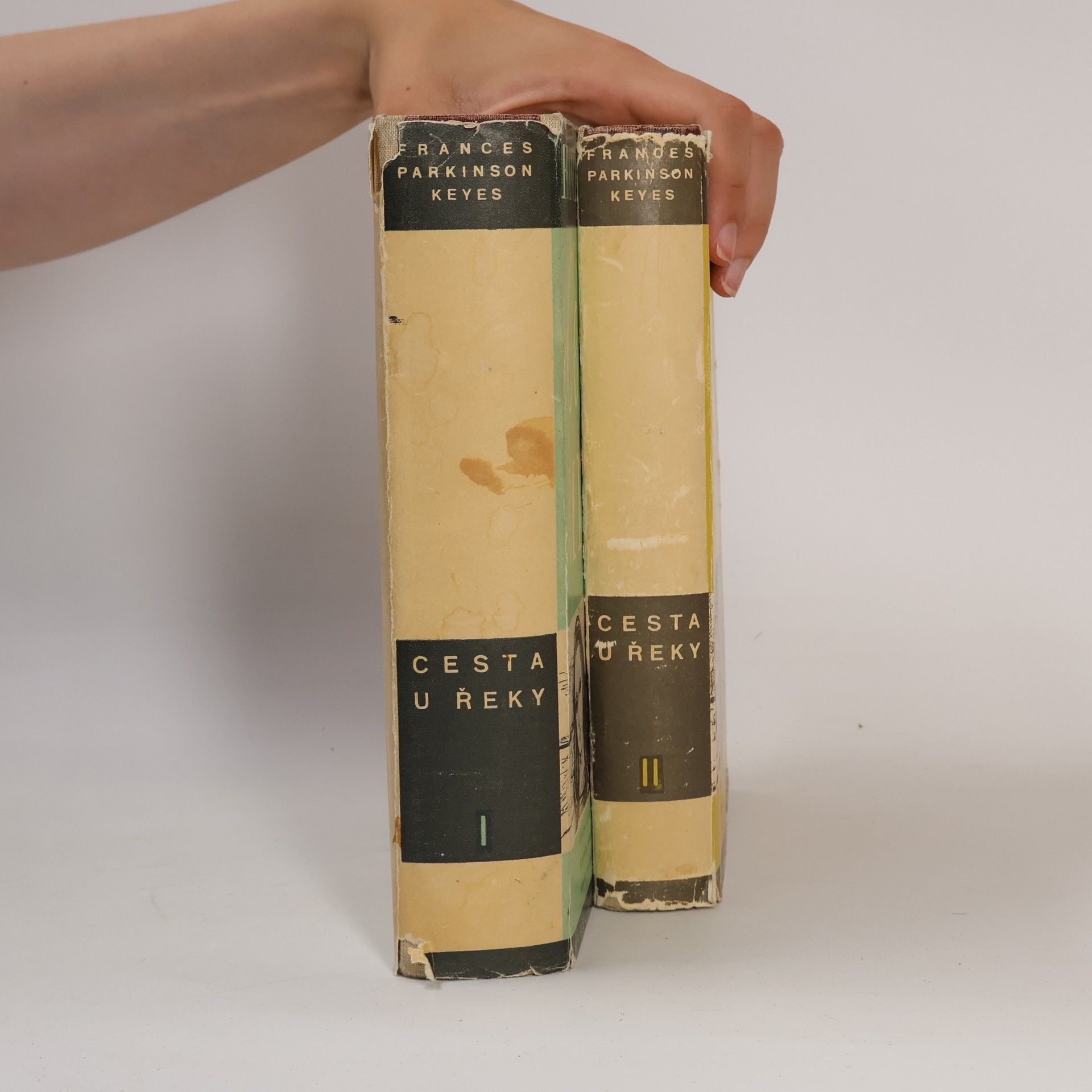 Frances Parkinson Keyes Cesta u řeky I.-II. díl