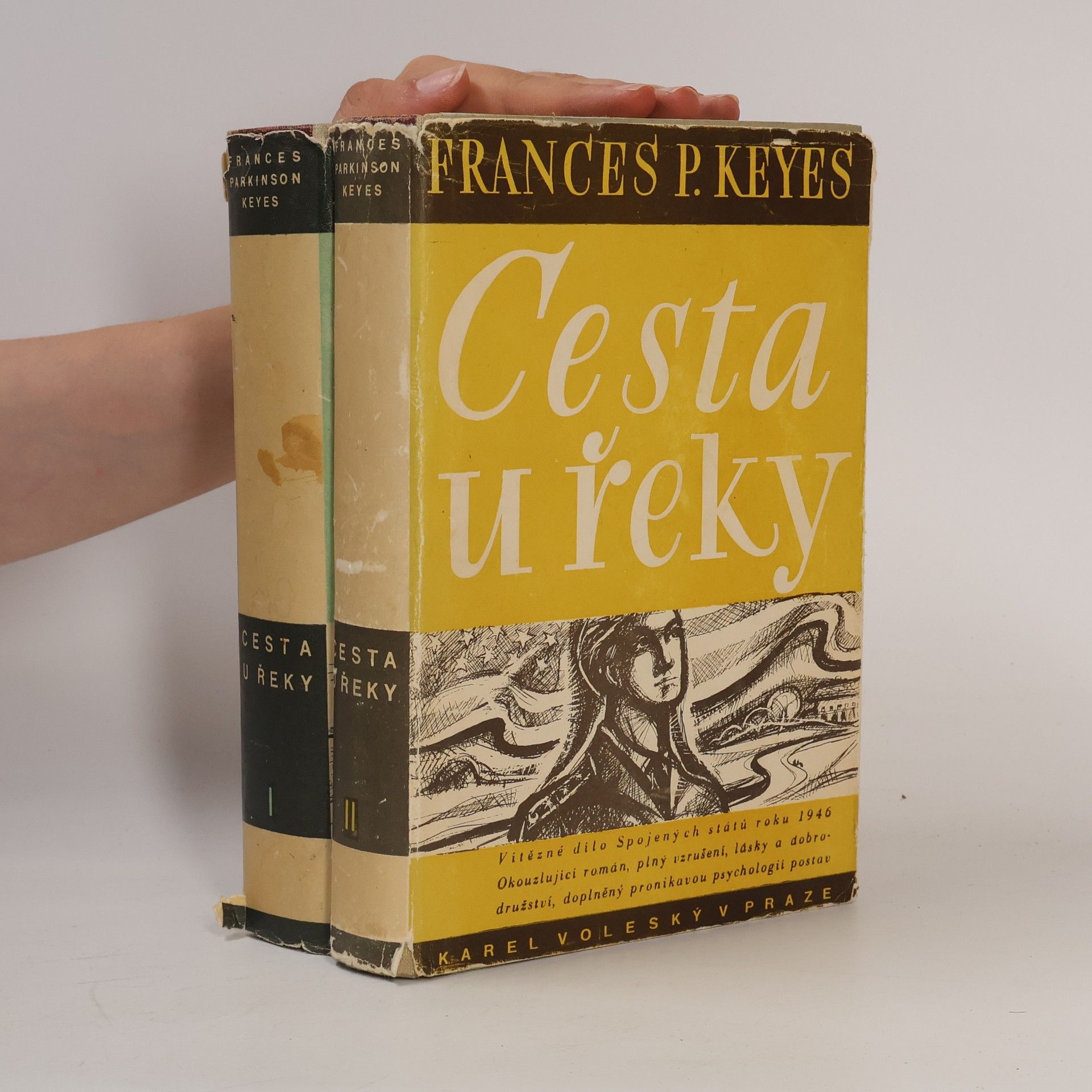 Frances Parkinson Keyes Cesta u řeky I.-II. díl