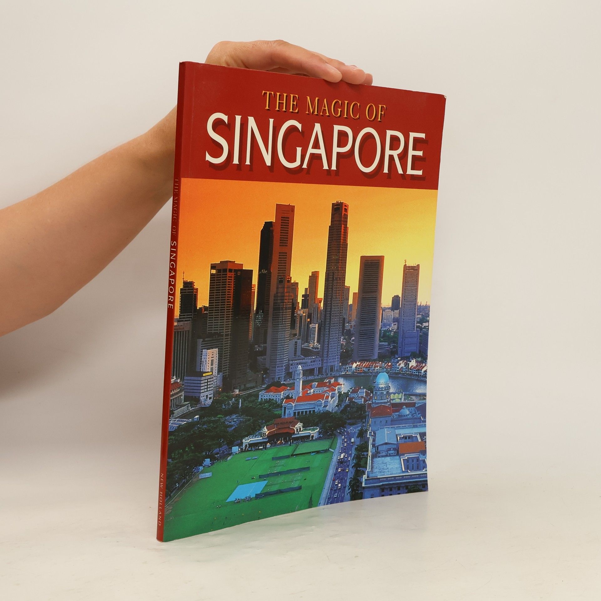 Iola Lenzi The Magic of Singapore