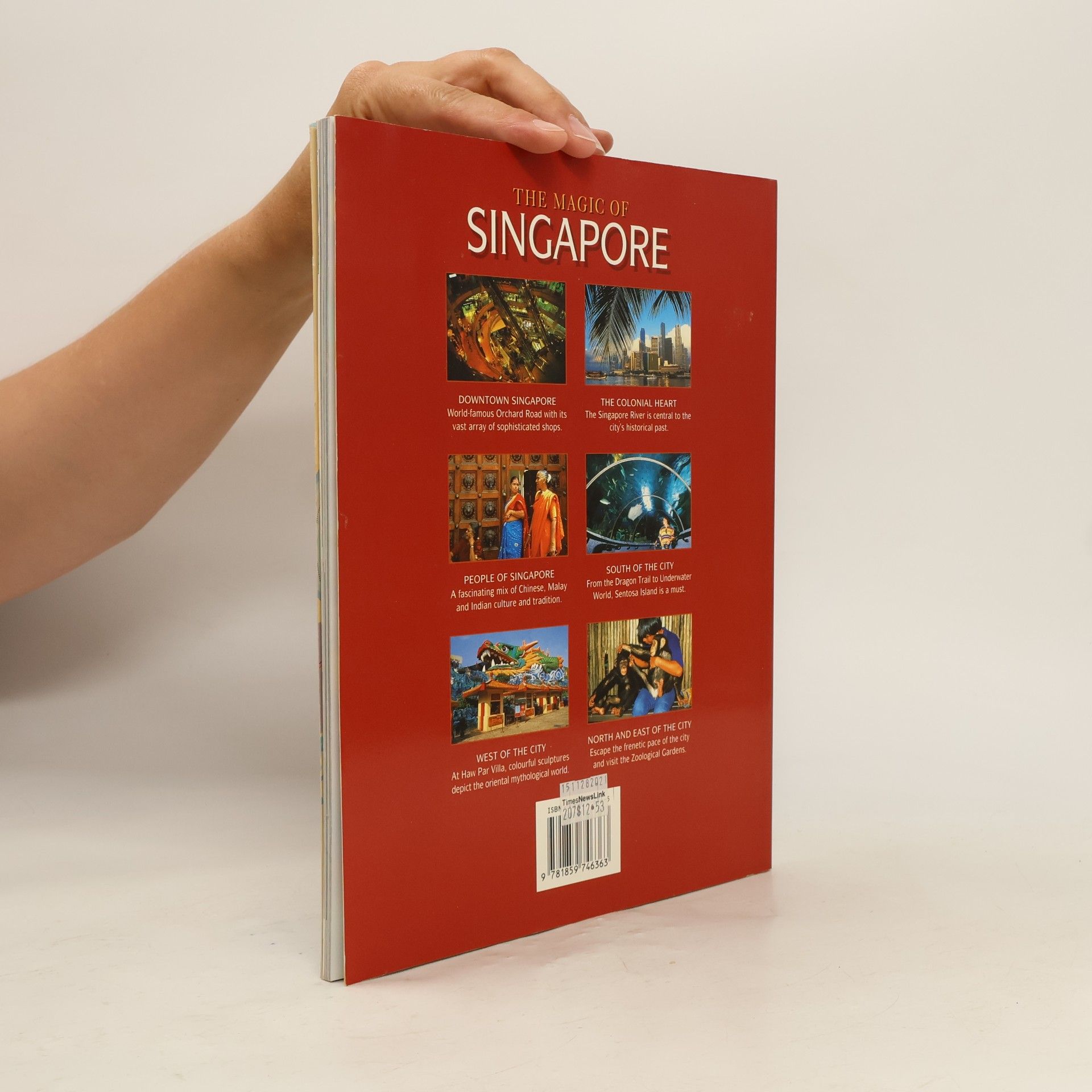Iola Lenzi The Magic of Singapore