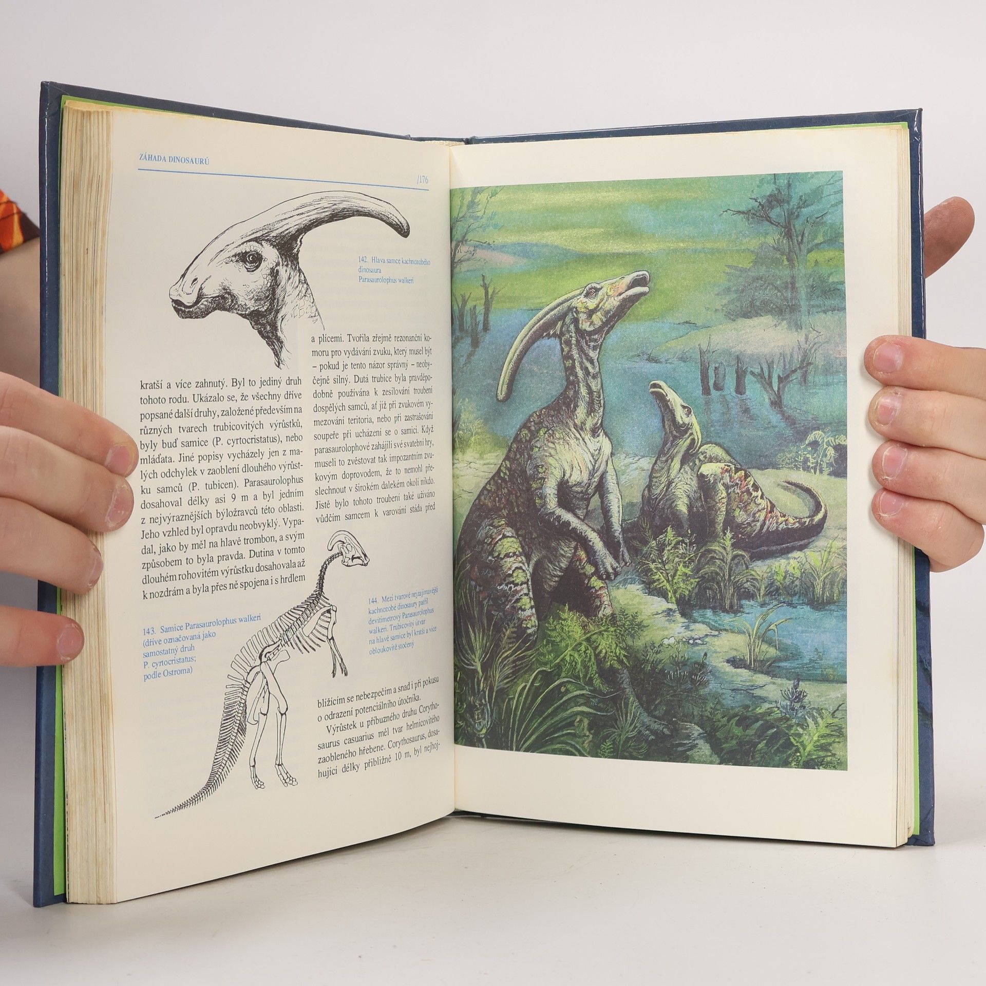 Jaroslav Mareš Záhada dinosaurů