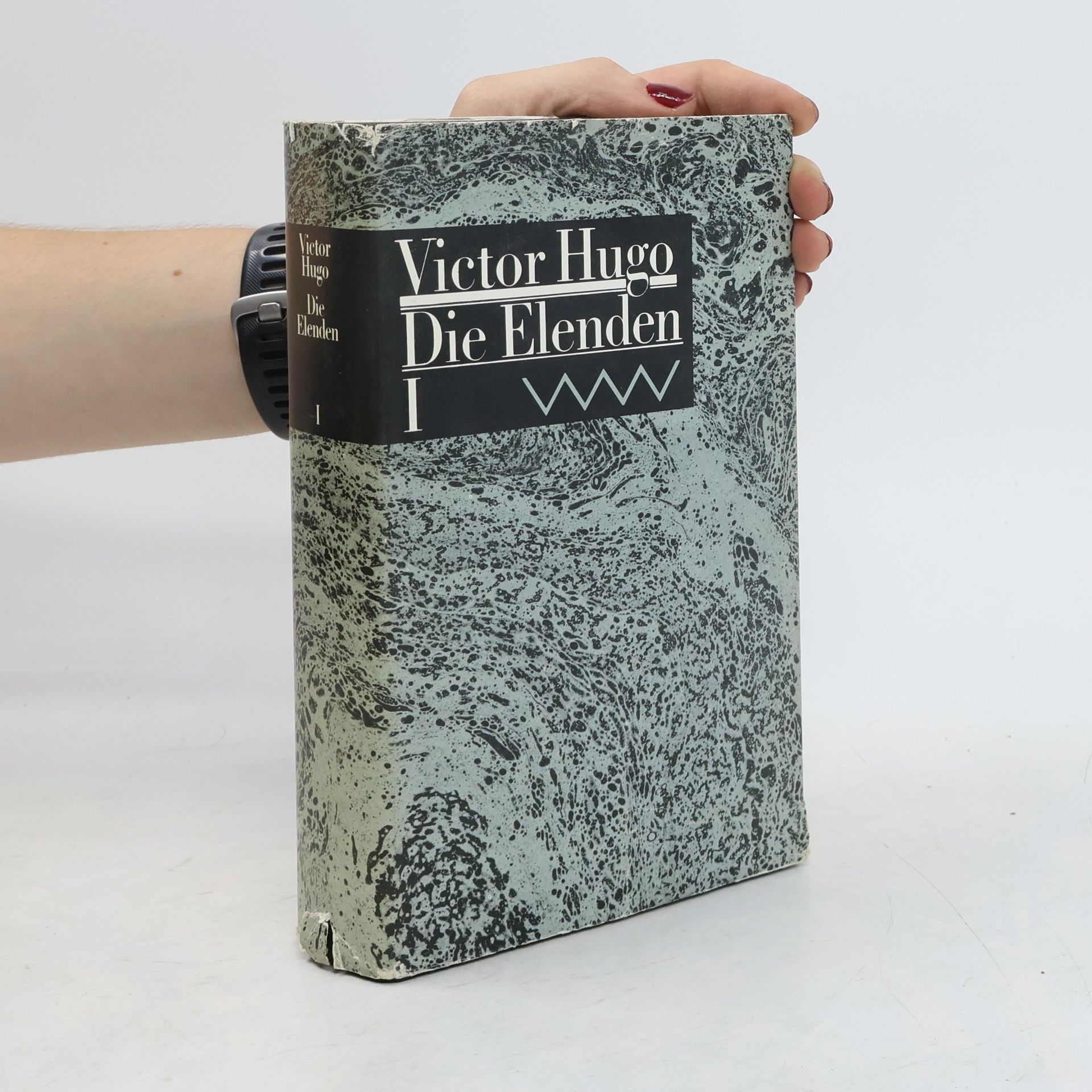 Victor Hugo Die Elenden