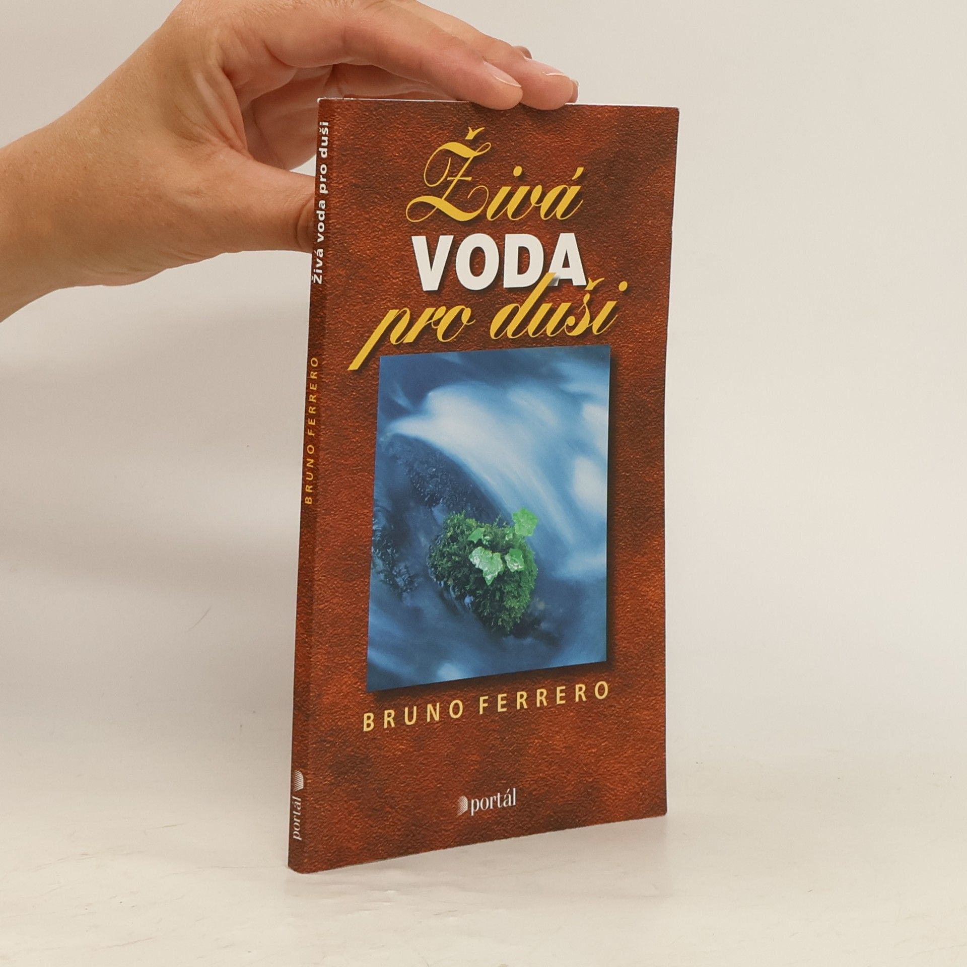 Bruno Ferrero Živá voda pro duši