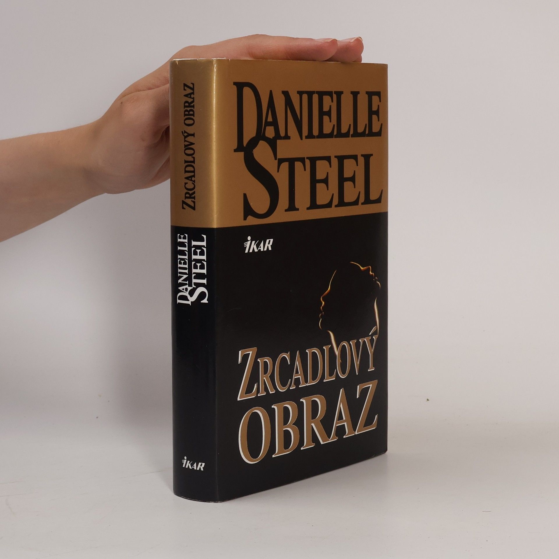 Danielle Steel Zrcadlový obraz