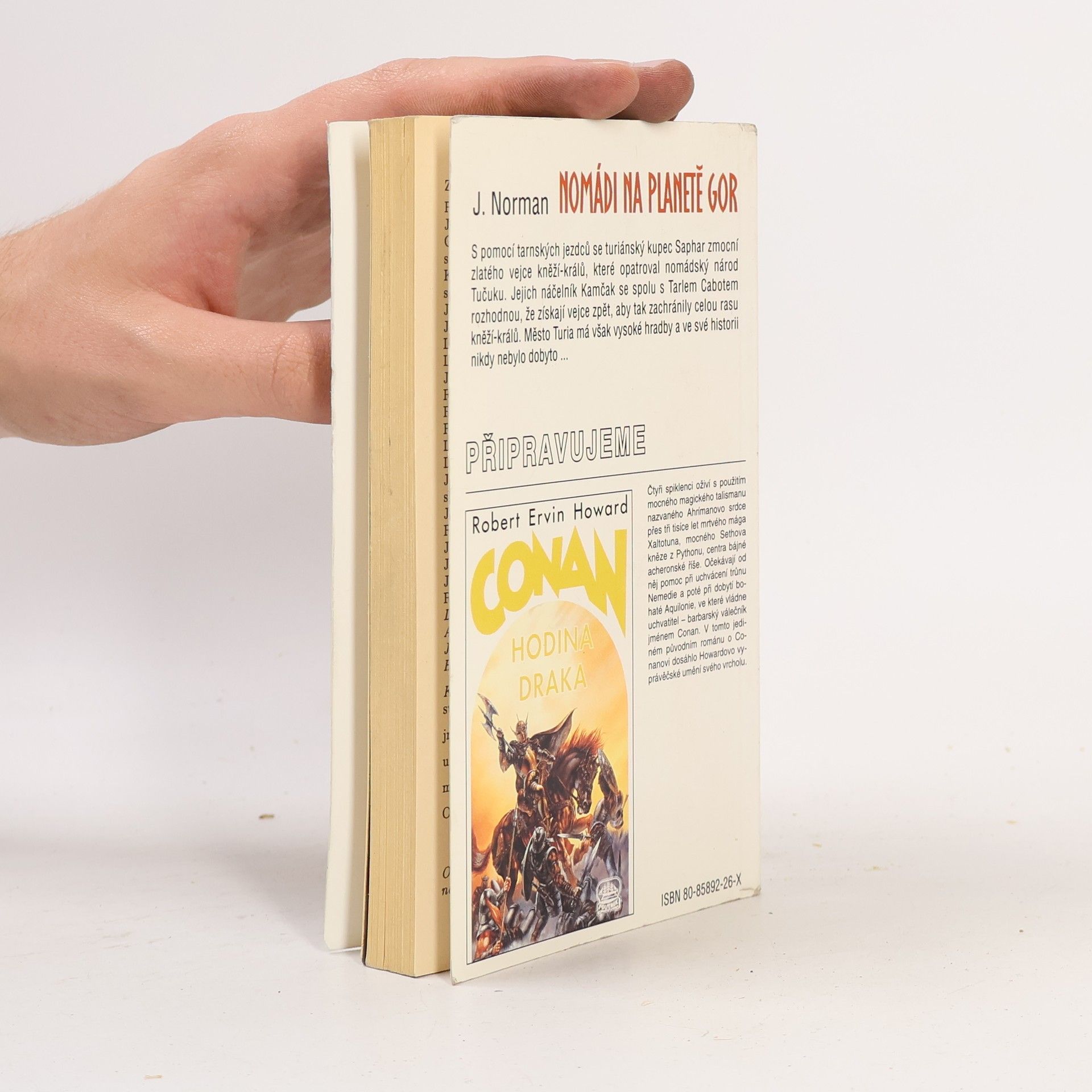 John Norman Gor. Nomádi na planetě Gor. Kroniky Protizemě, část 5