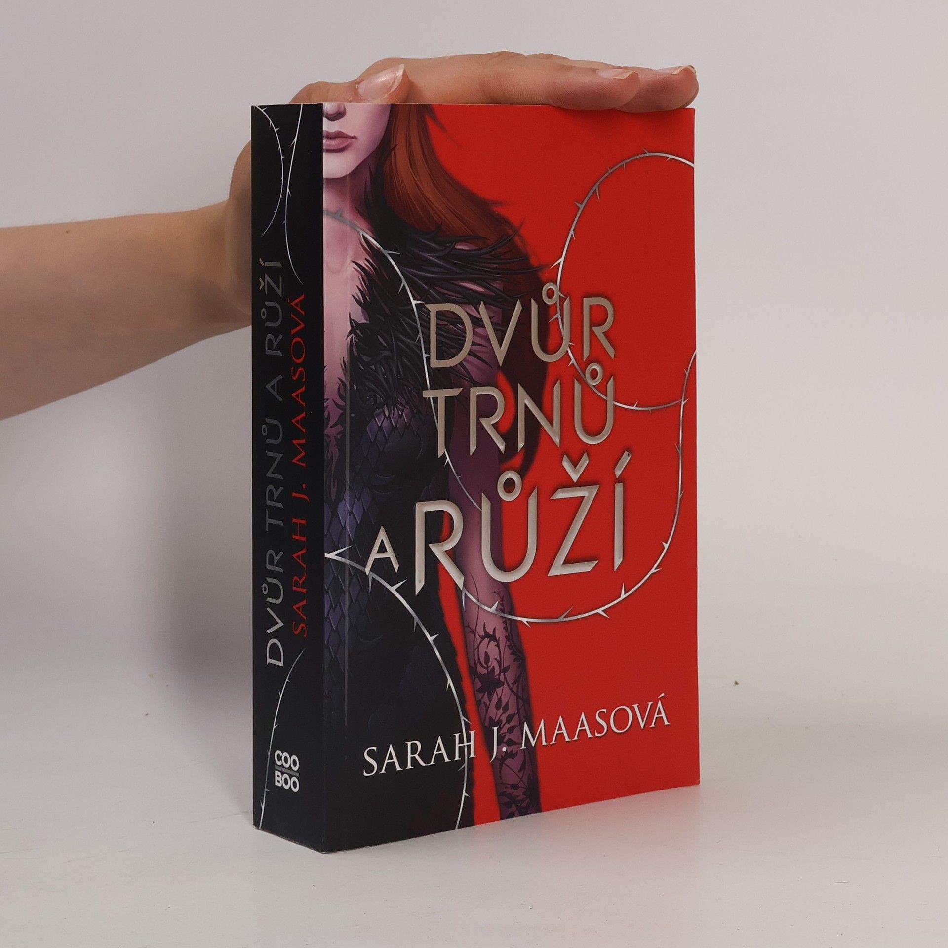 Sarah J. Maas Dvůr trnů a růží