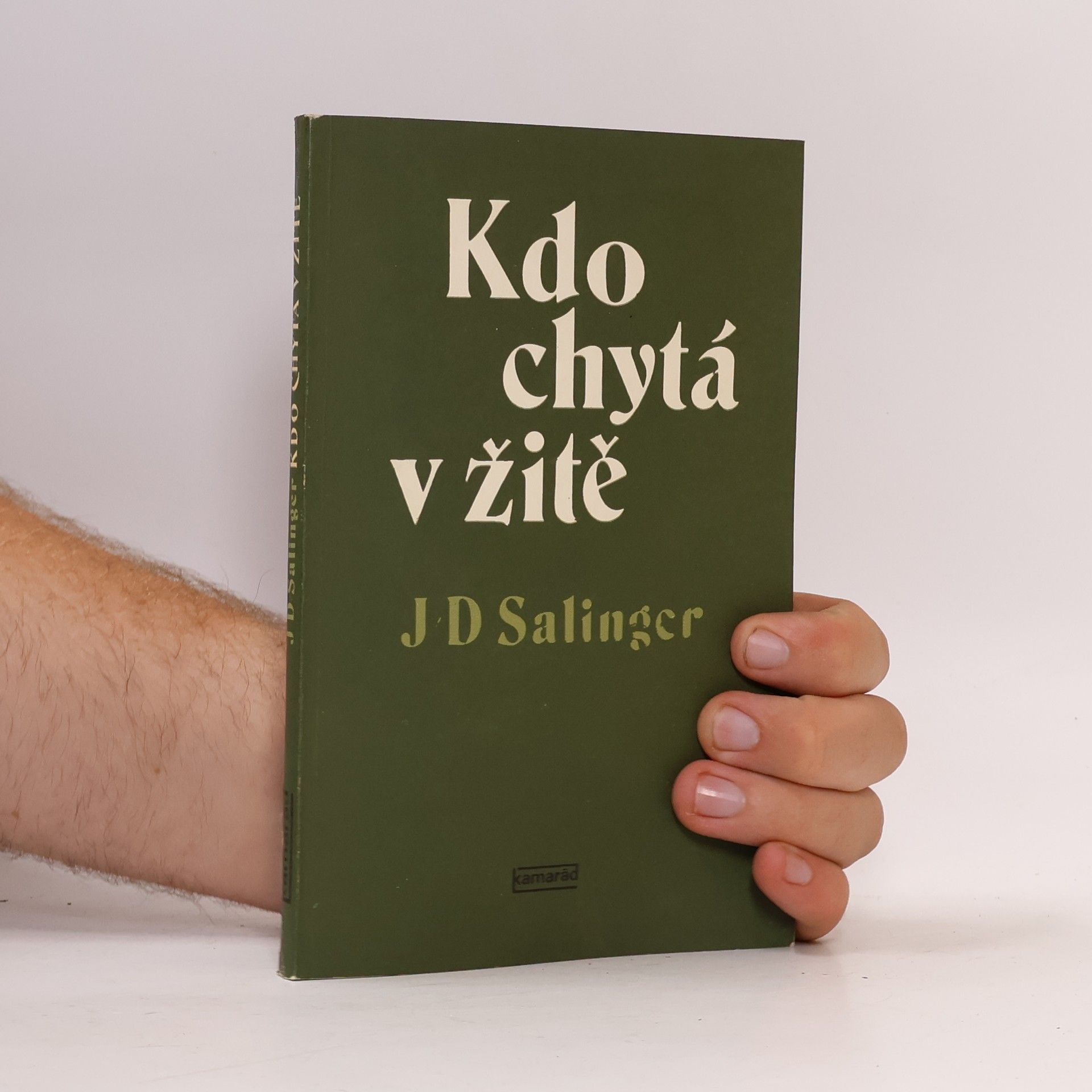 J. D. Salinger Kdo chytá v žitě