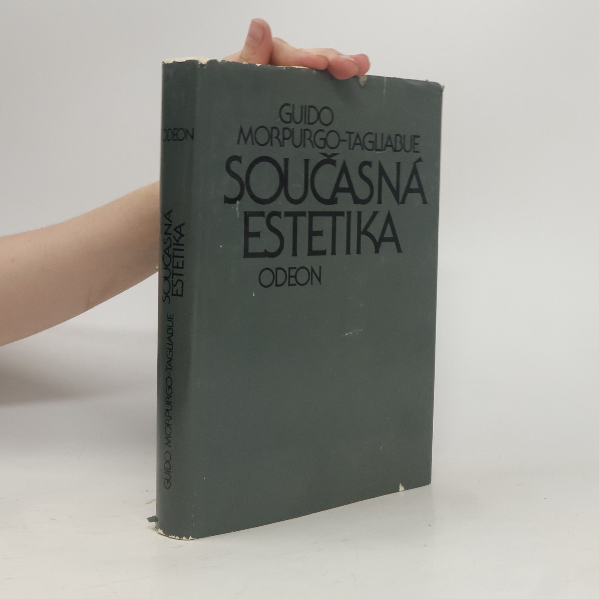 Guido Morpurgo Tagliabue Současná estetika