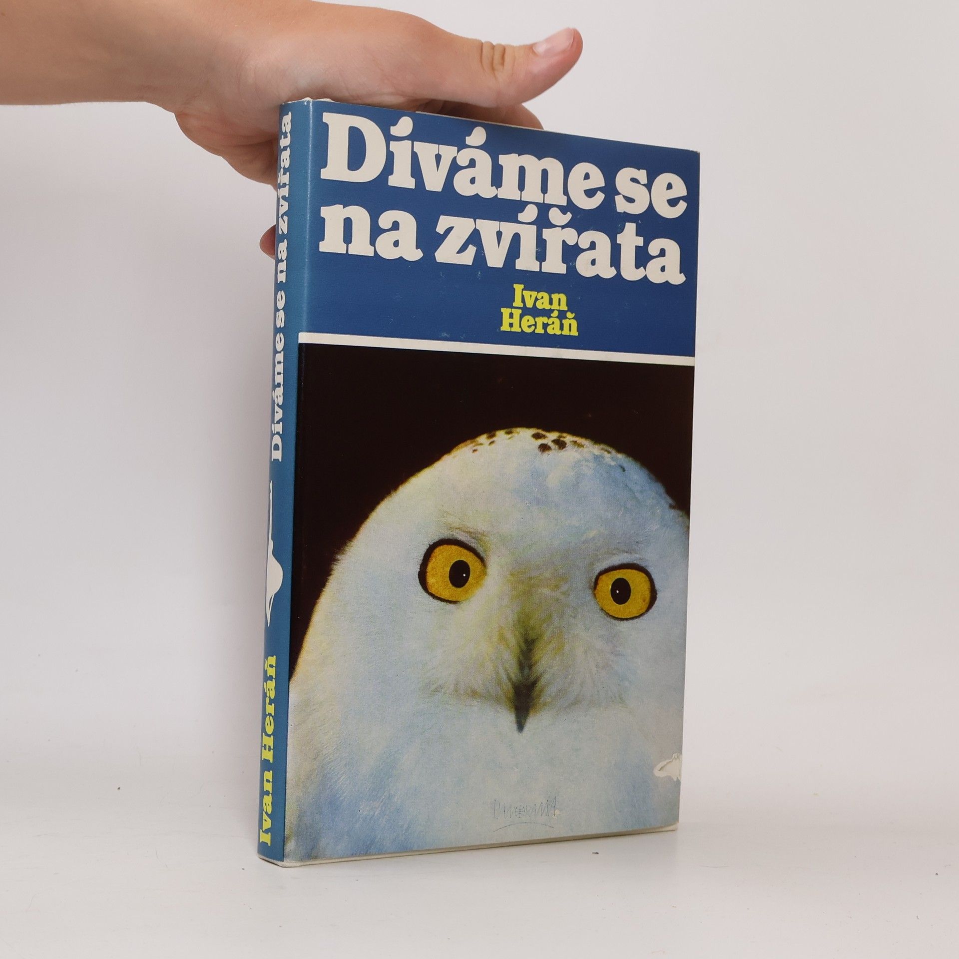 Díváme se na zvířata