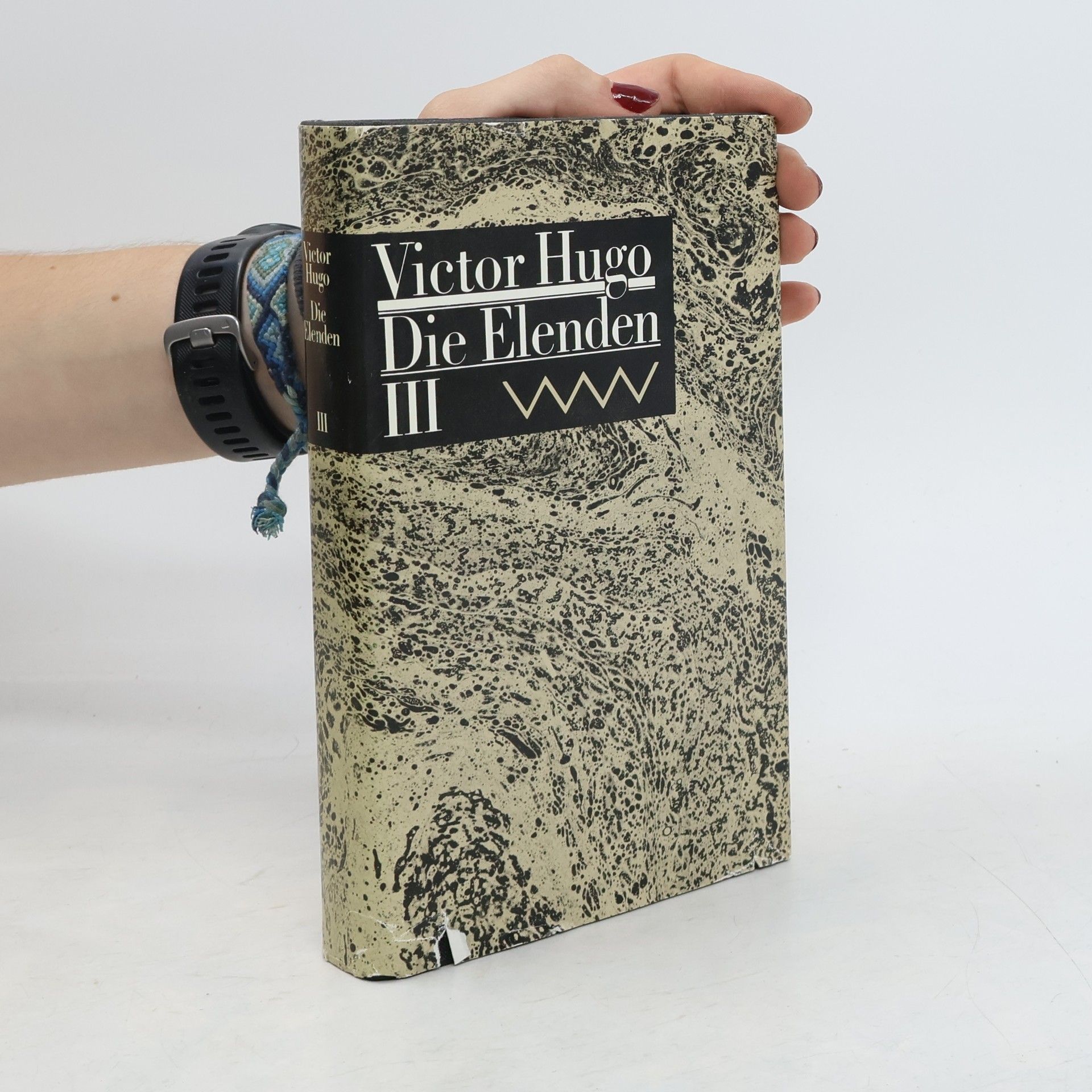 Victor Hugo Die Elenden