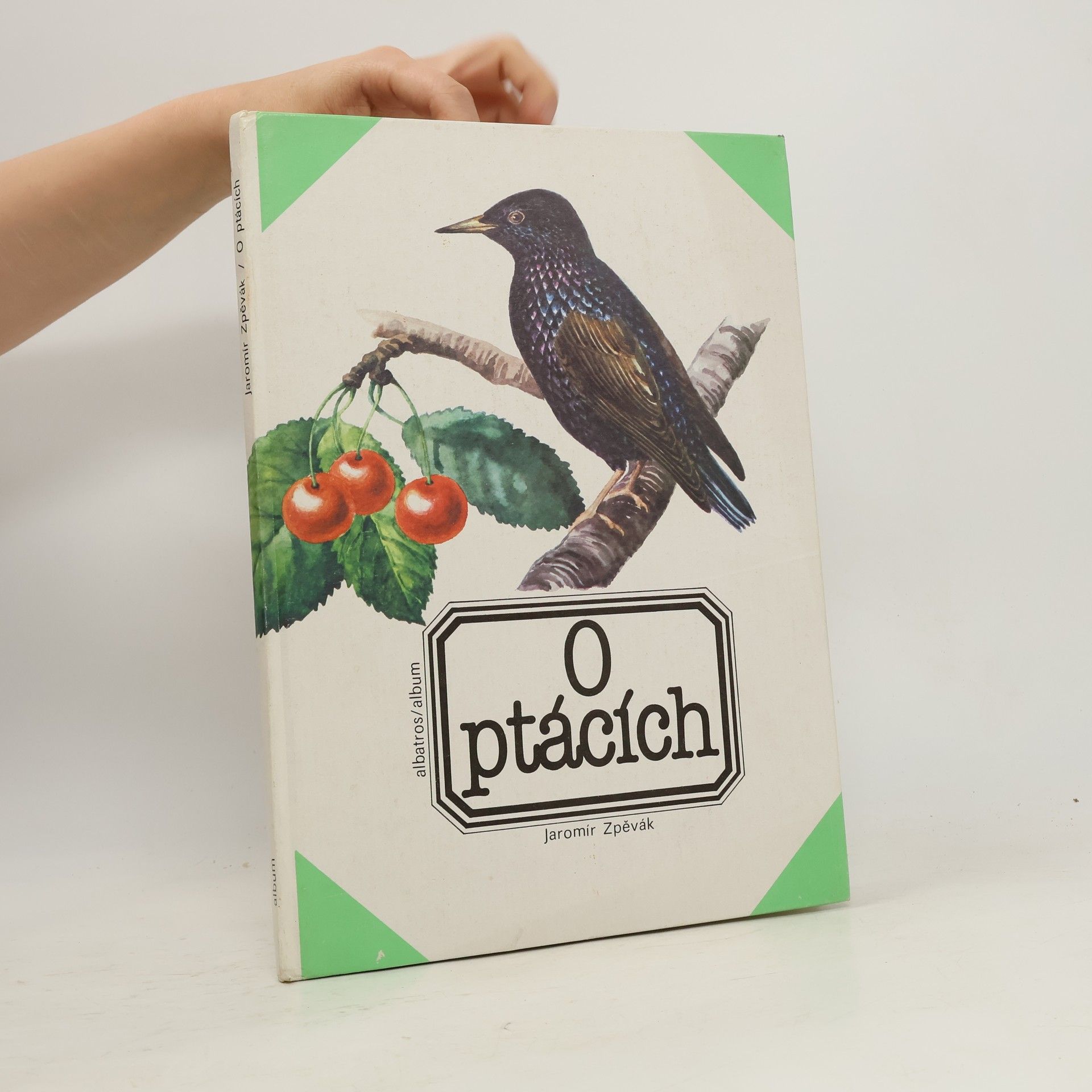 O ptácích