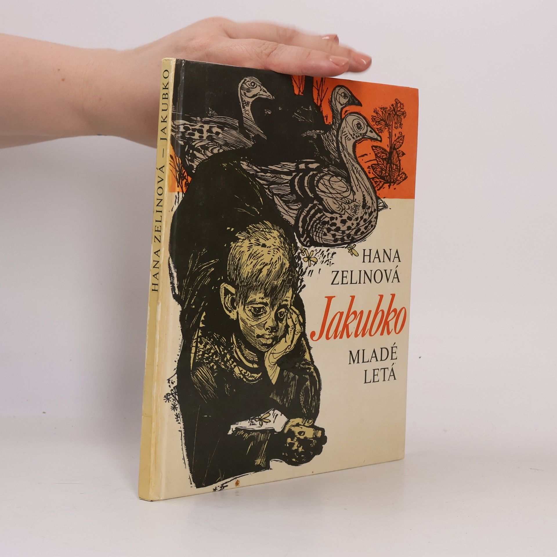 Hana Zelinová Jakubko