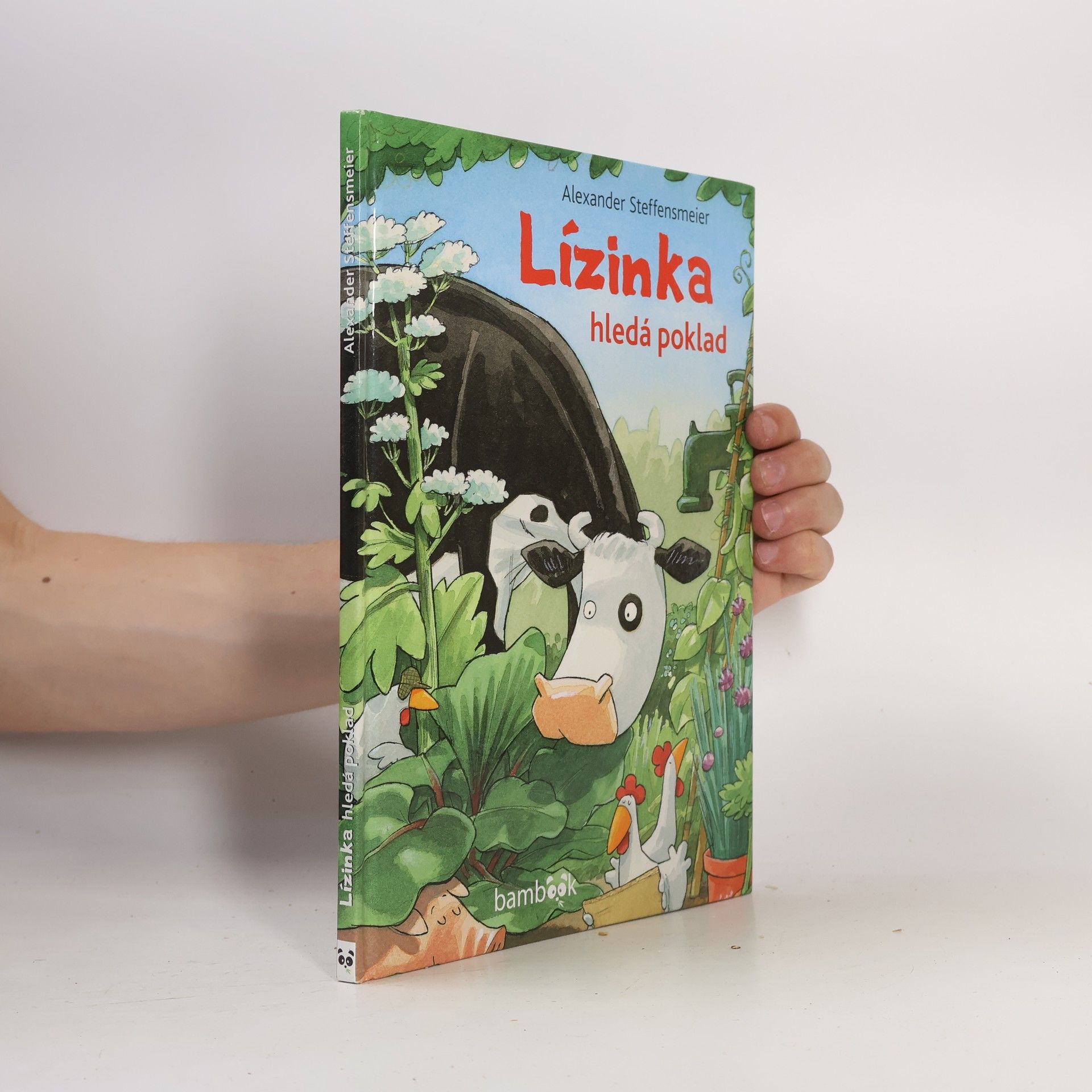 Alexander Steffensmeier Lízinka hledá poklad