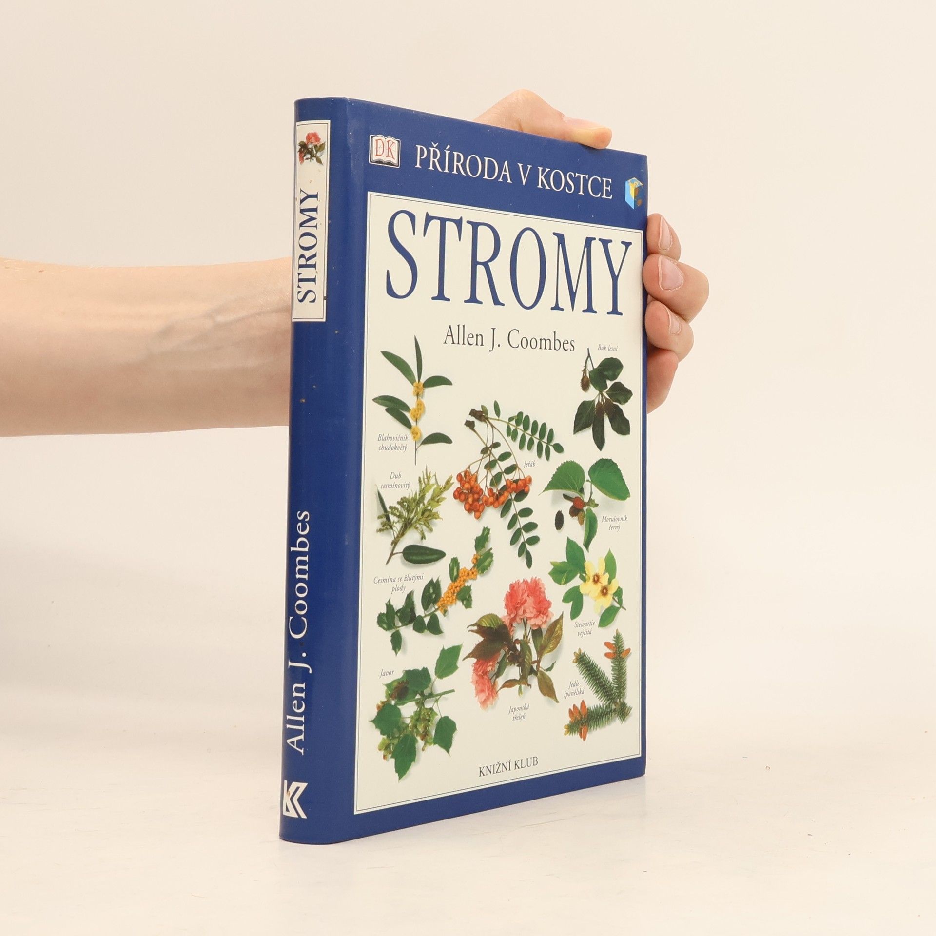 Allen J. Coombes Stromy