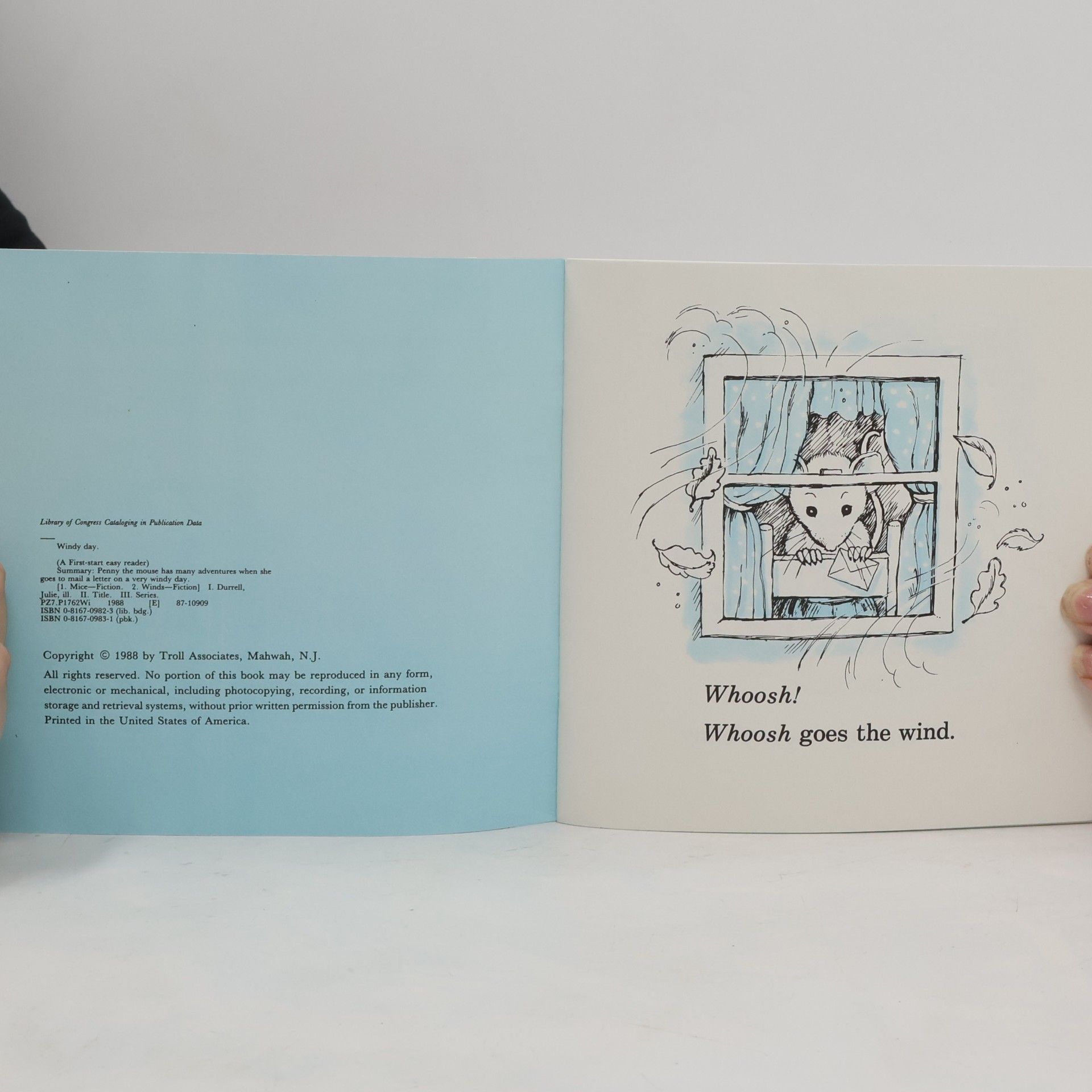 Janet Palazzo-Craig A First-Start Easy Reader: Windy Day