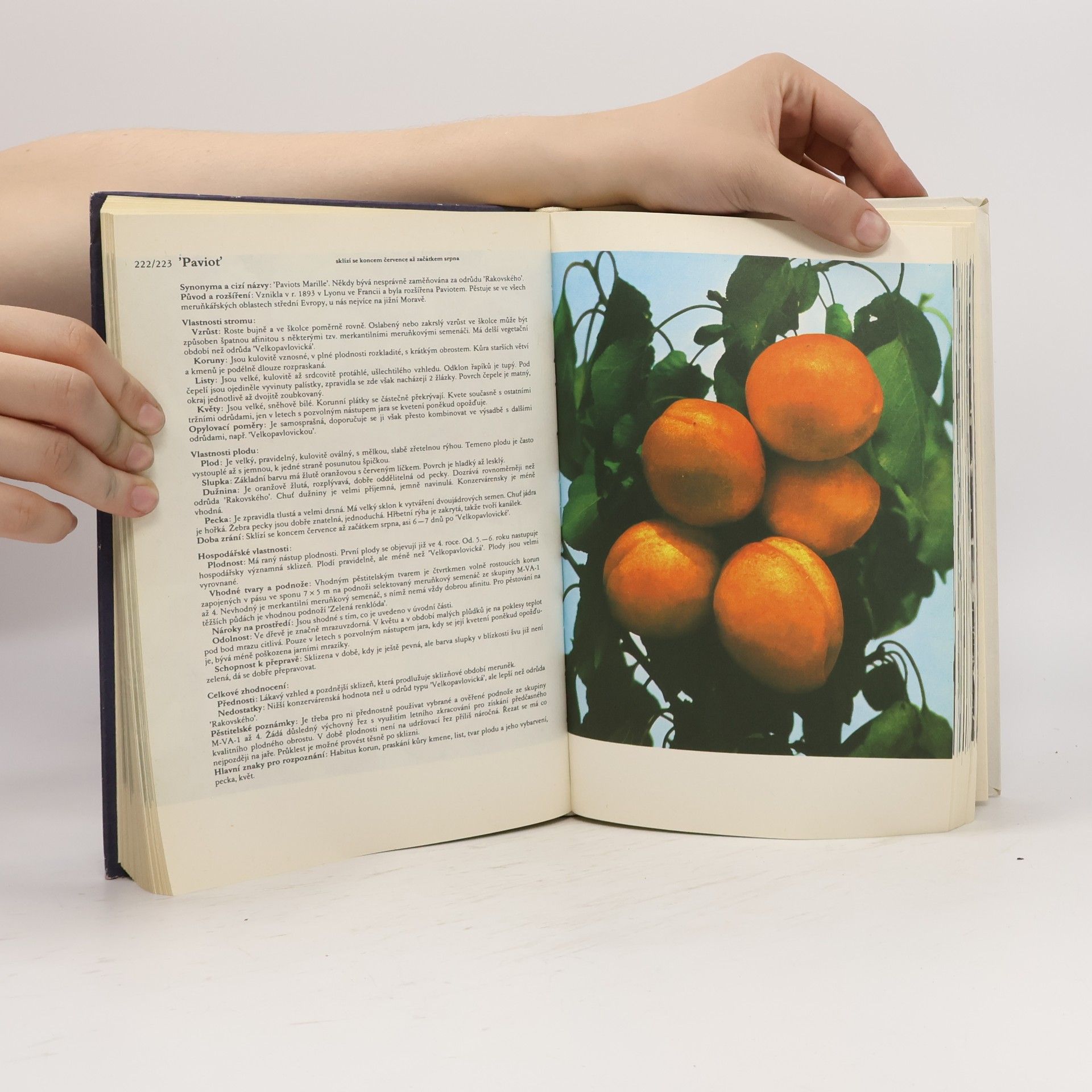 Antonín Dvořák Atlas odrůd ovoce