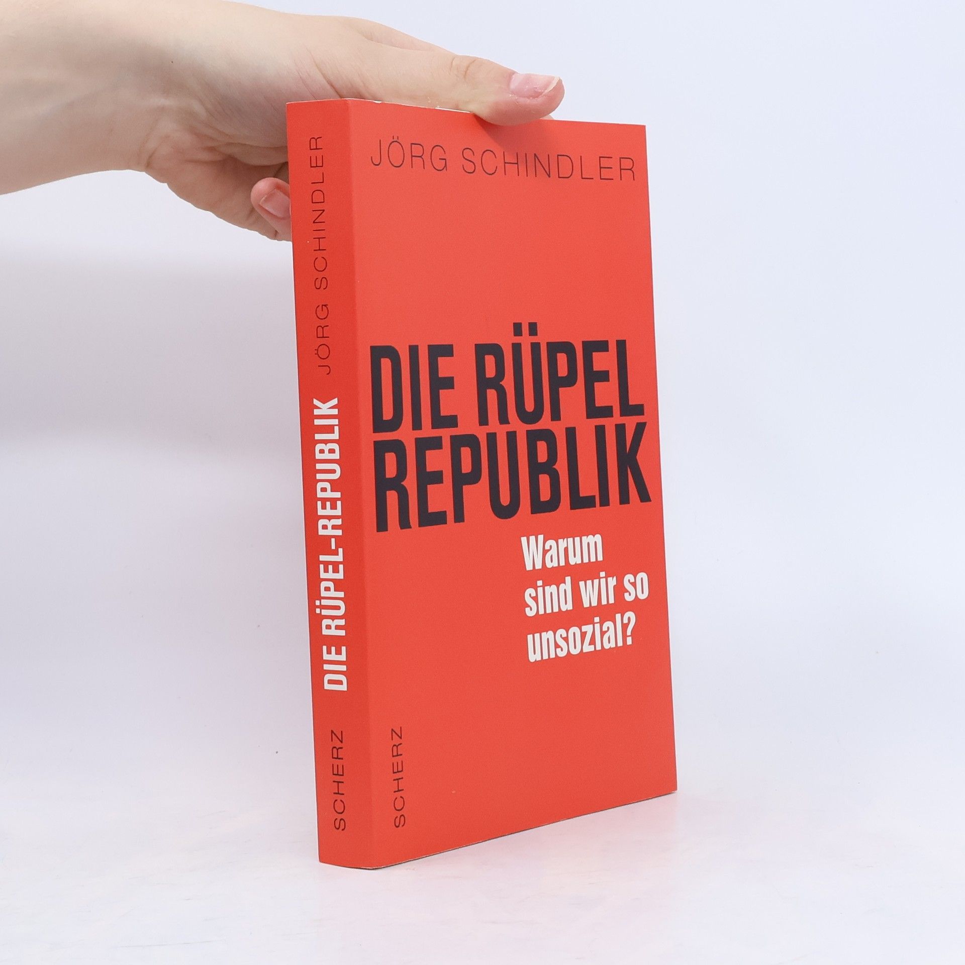 Jörg Schindler-Schwabedissen Die Rüpel-Republik