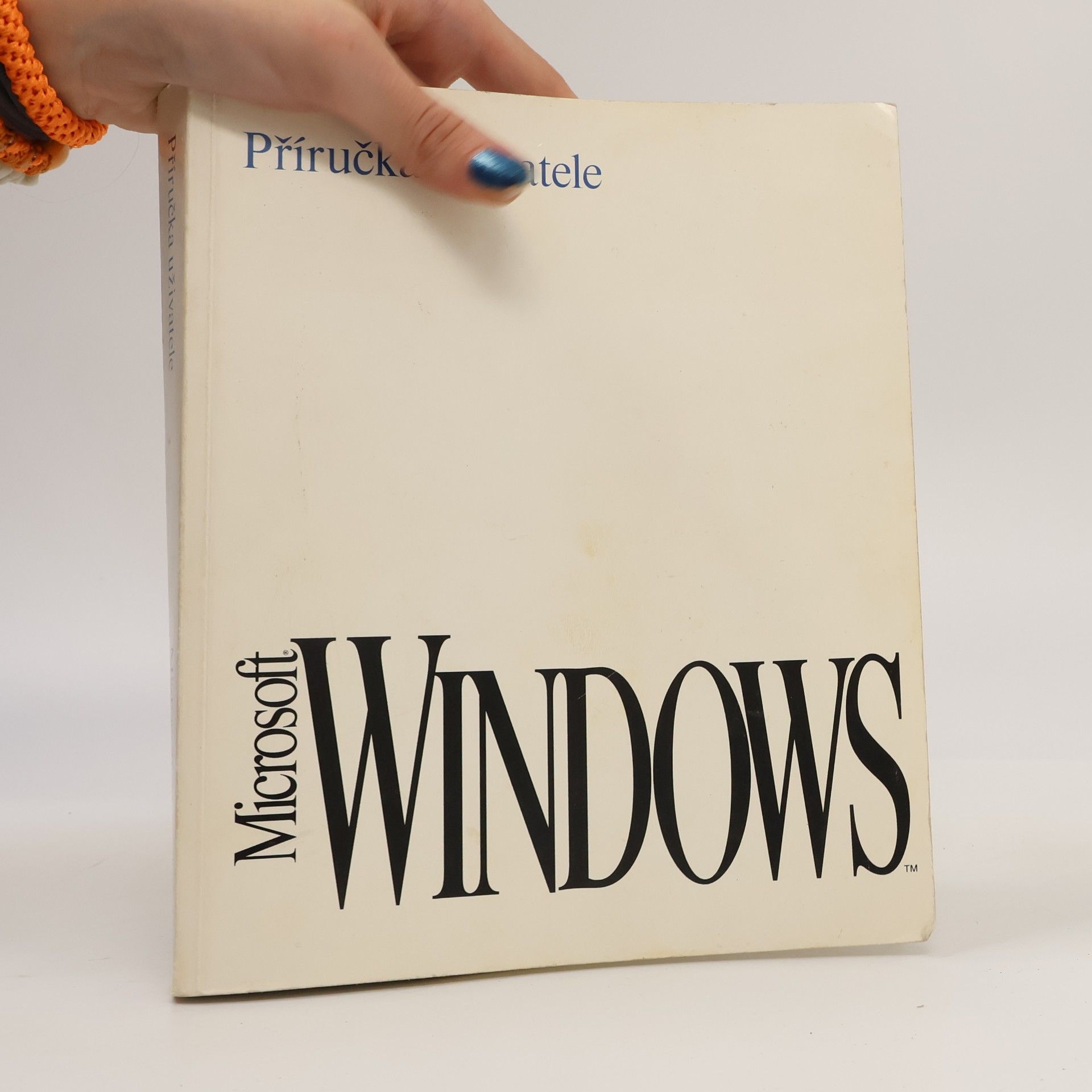 Kolektiv autorů Microsoft Windows 3.1 Příručka uživatele