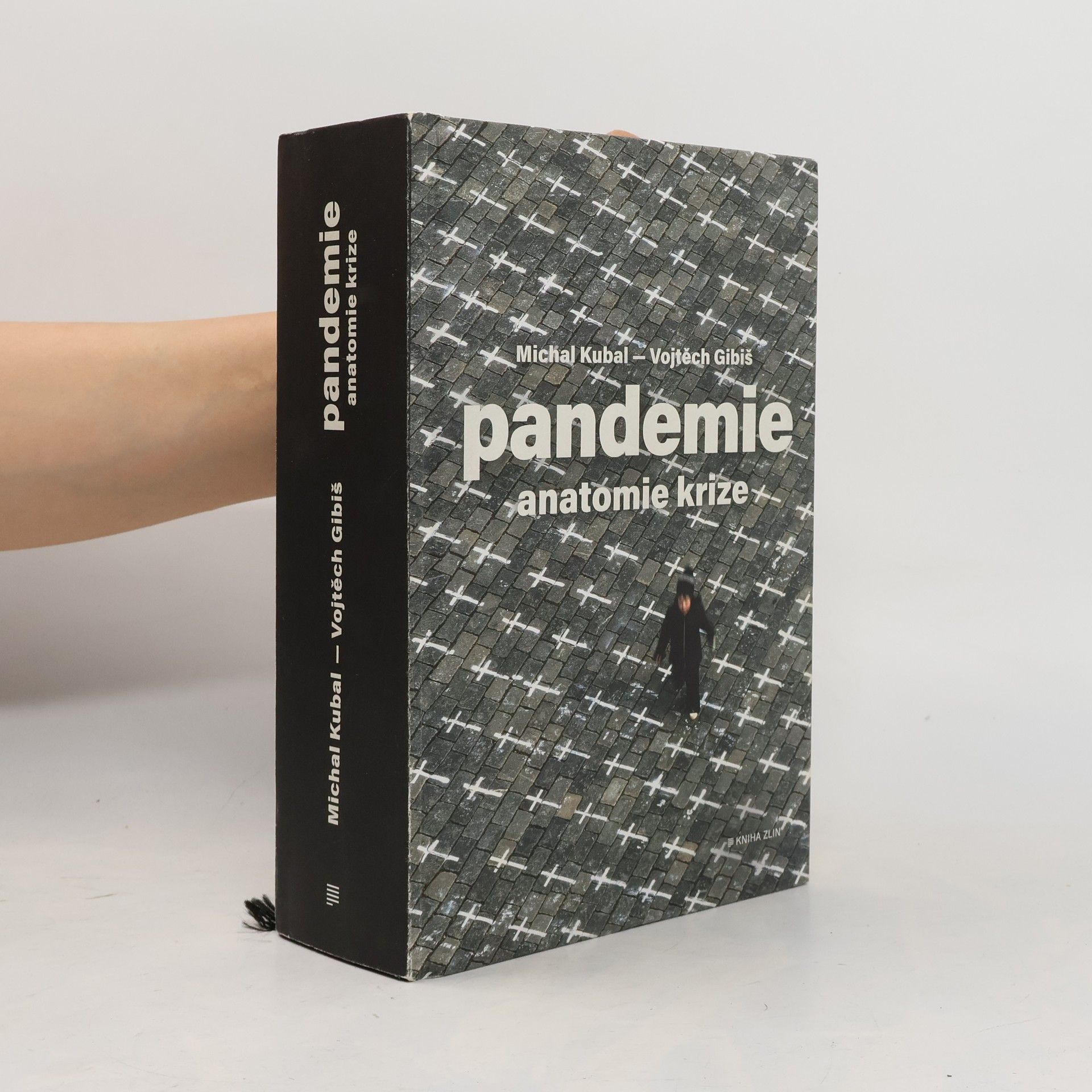 Vojtěch Gibiš Pandemie : anatomie krize