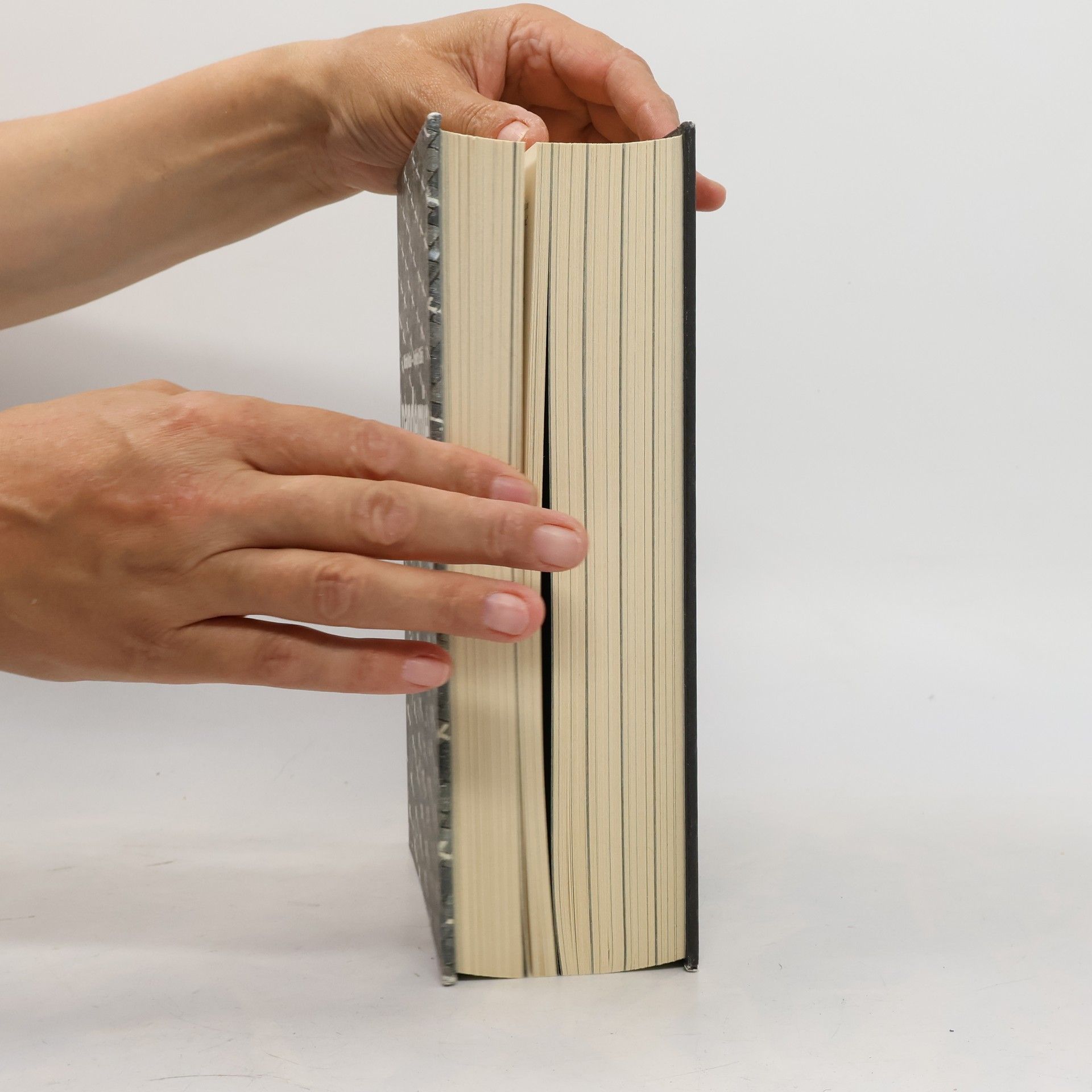 Michal Kubal Pandemie : anatomie krize