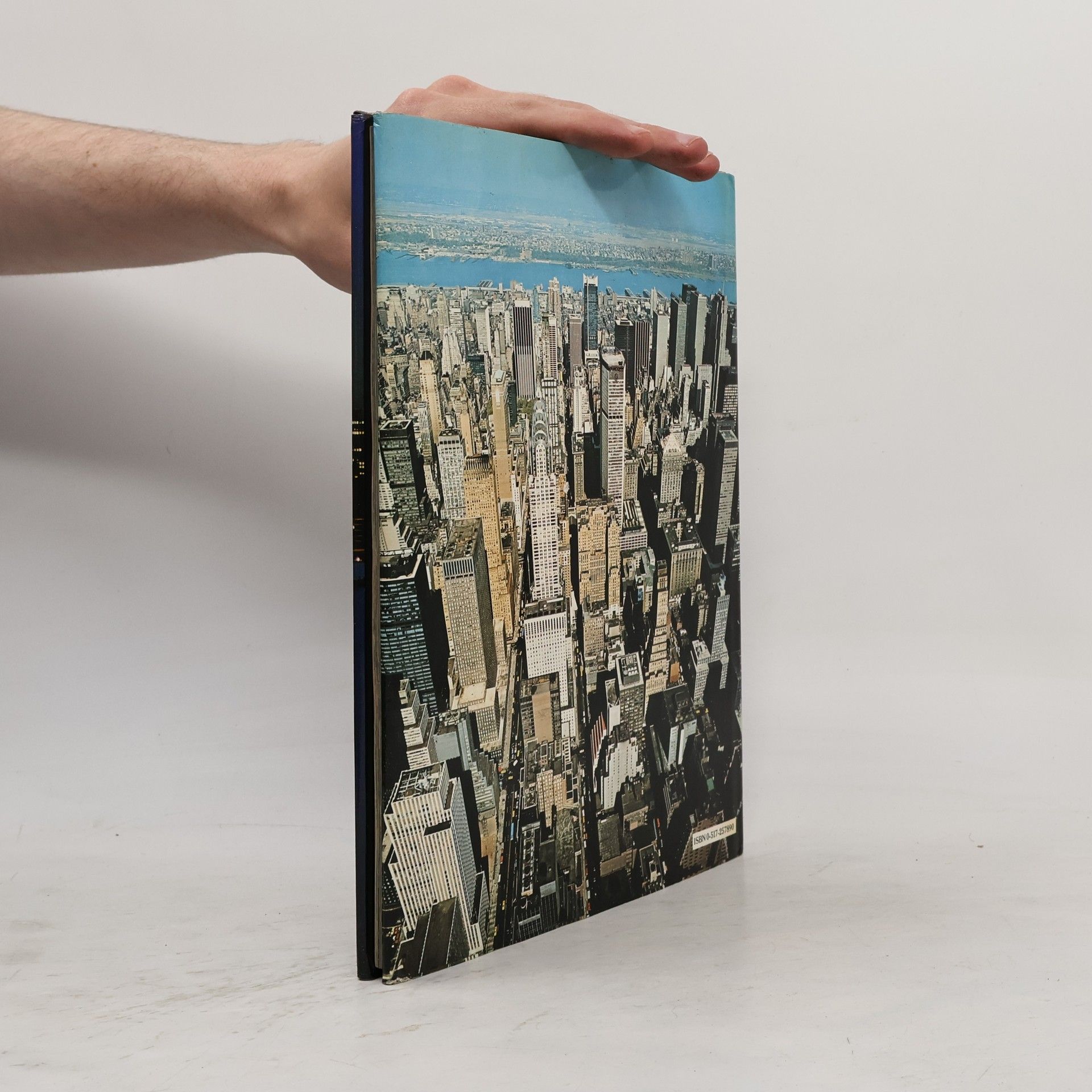 Various authors New York : A Picture Book to Remember Her by
