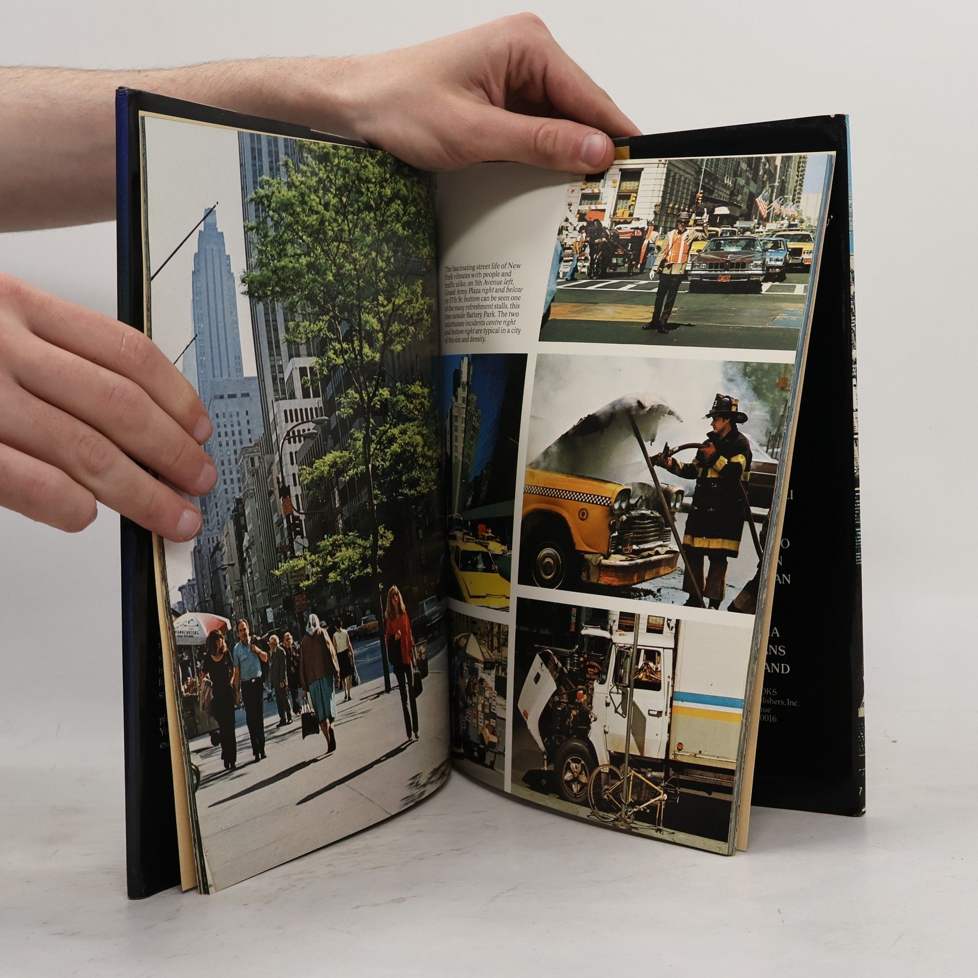 Various authors New York : A Picture Book to Remember Her by