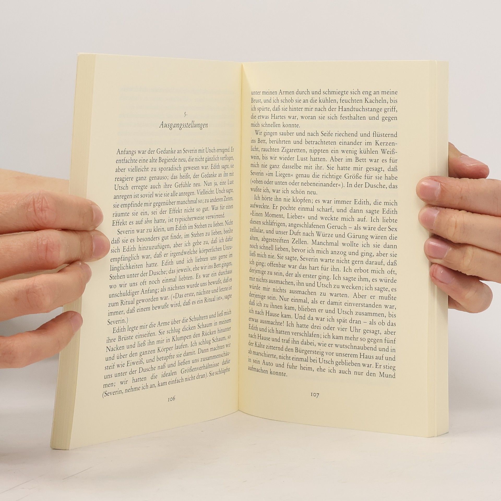 John Irving Eine Mittelgewichtsehe