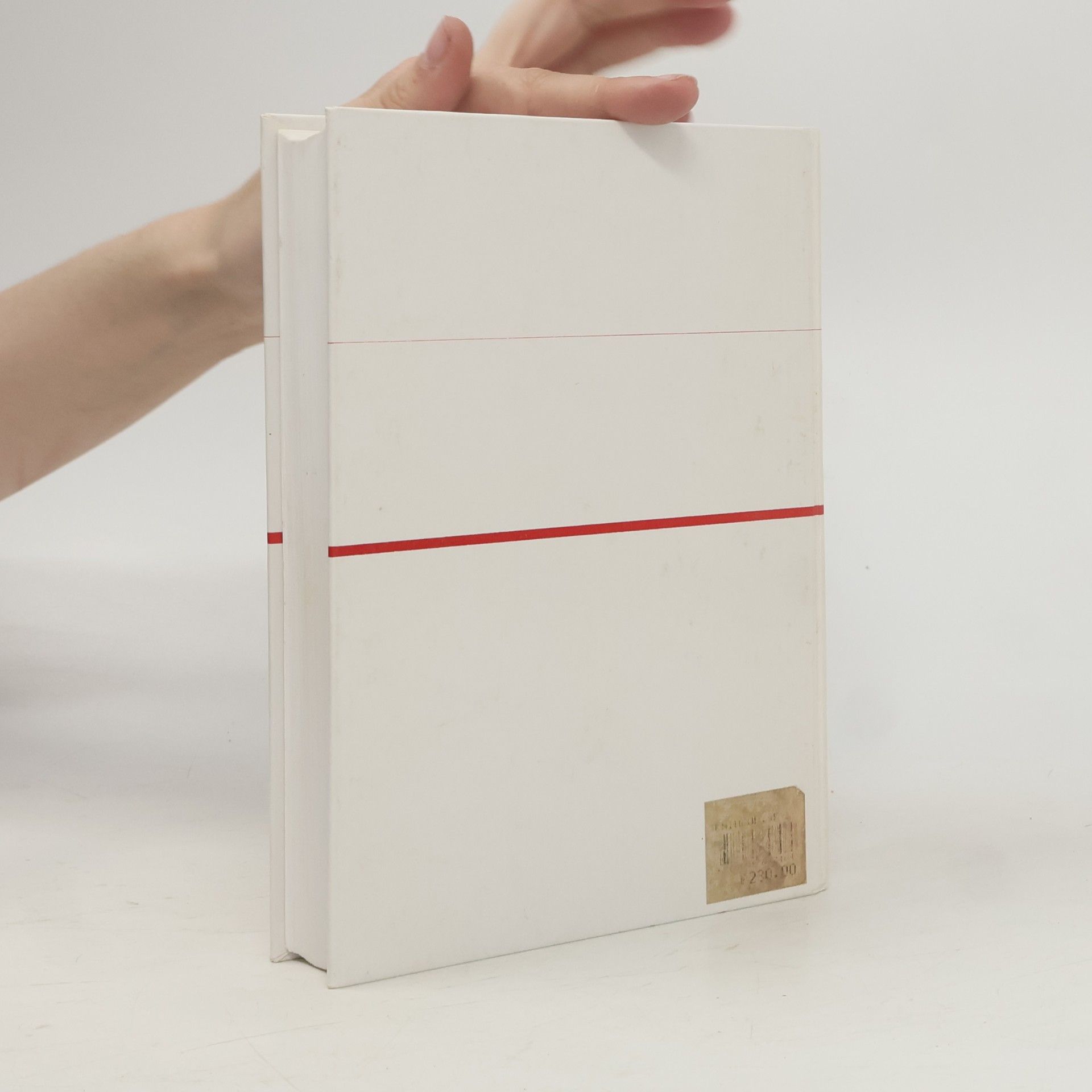 Autorenkollektiv Odborný slovník anglicko-český z oblasti ekonomické, finanční a právní